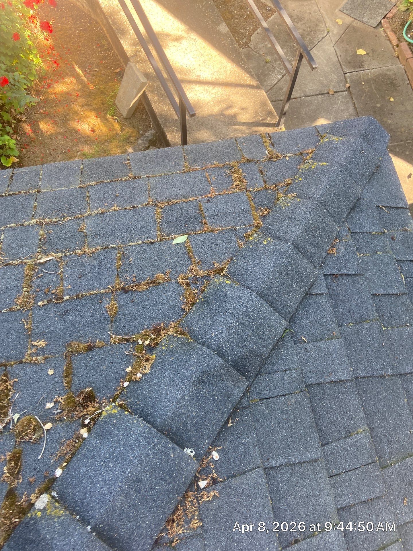 Roof Rejuvenation using Roof Maxx Treatment by Roof Maxx of Folsom