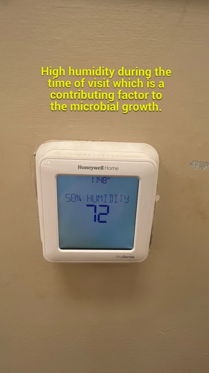 The Gardens of Rome by PC&D