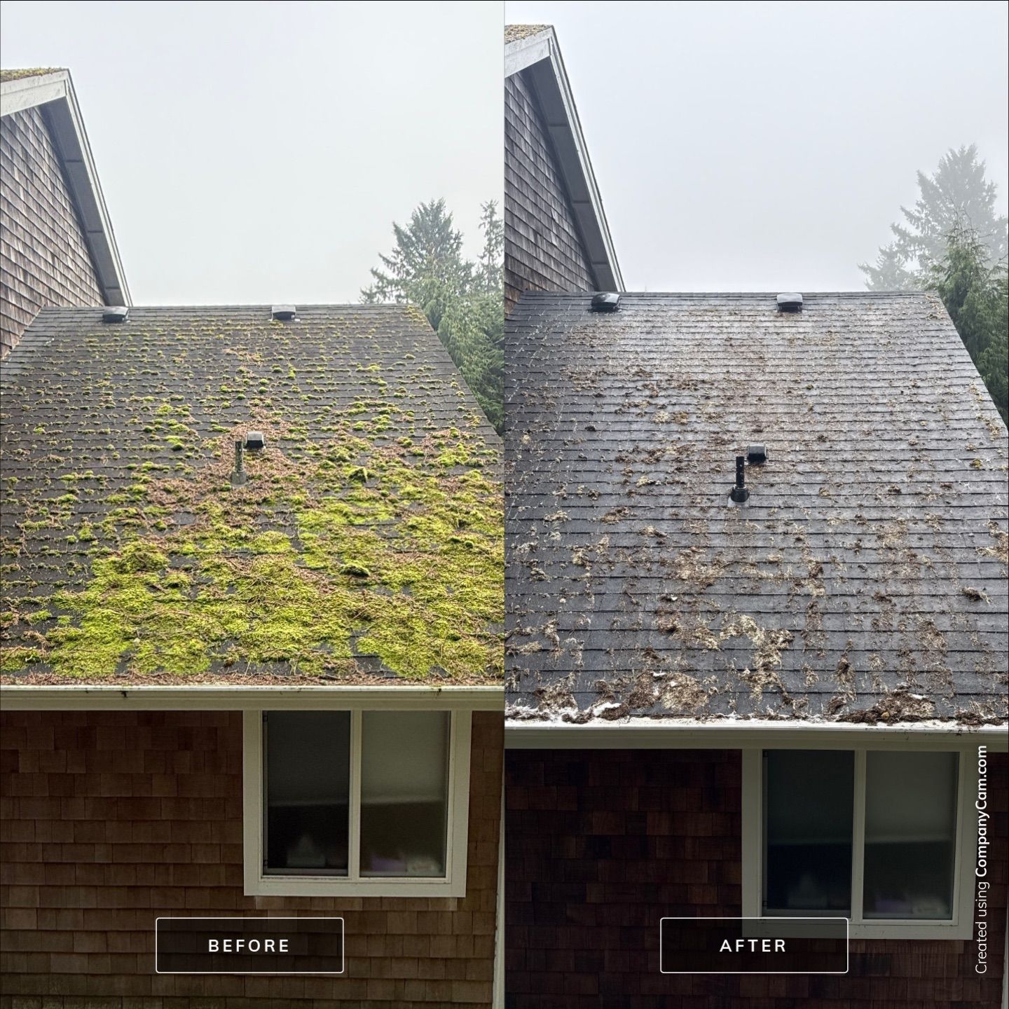 Home Renewal - Roof & Concrete Cleaning in Astoria by Rolling Suds of Oregon Coast – Salem