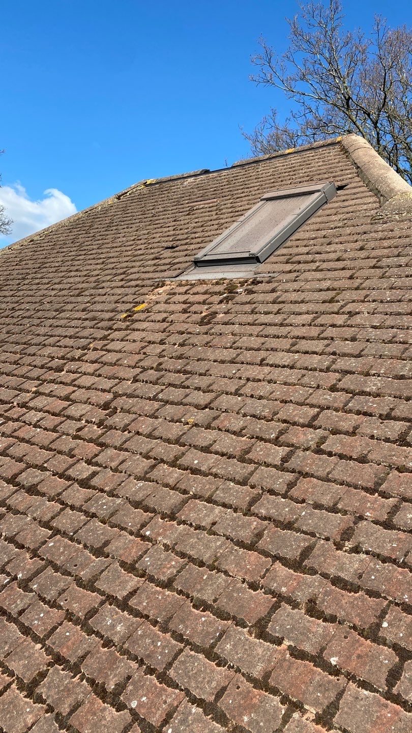 Mosmatic FSC and Biocide by Ges Exterior Cleaning ltd
