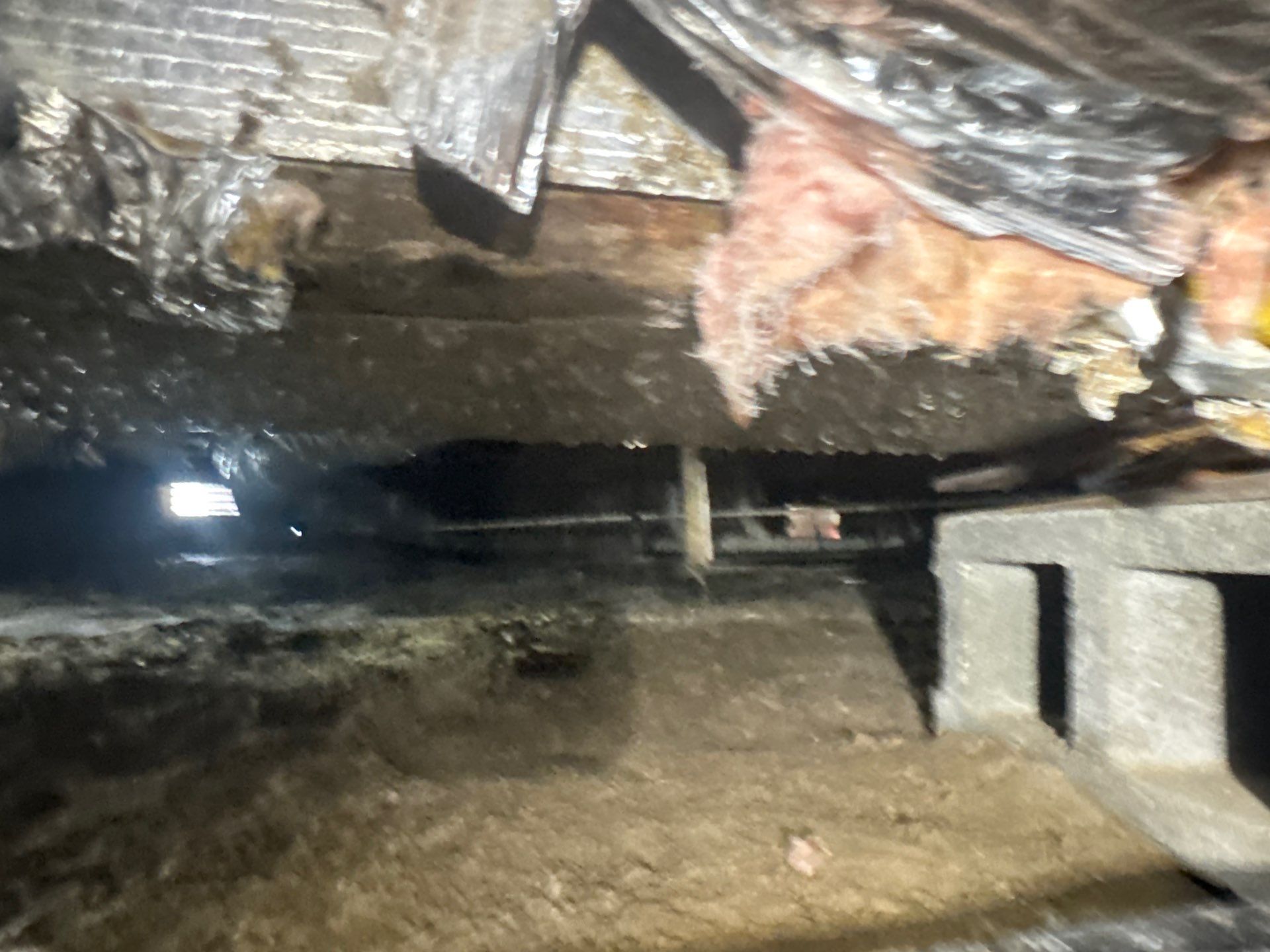 Project in Carrsville by Patriot Crawl Space Repairs