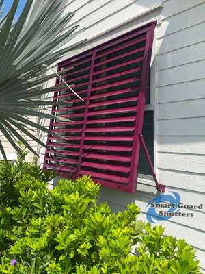 Impact Bahamas in Claret Violet