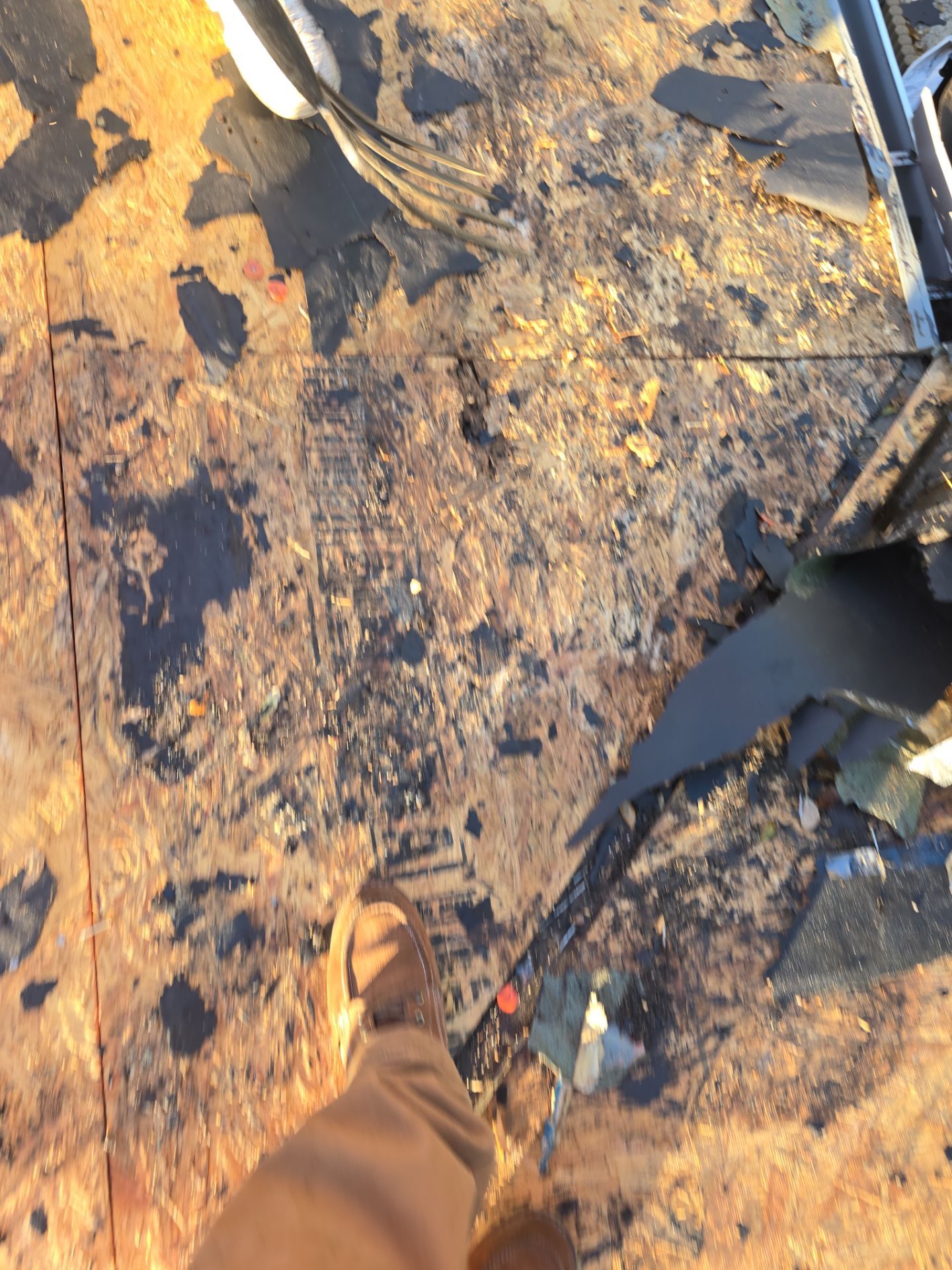 Roof Replacement Spring by Roof Repair Company