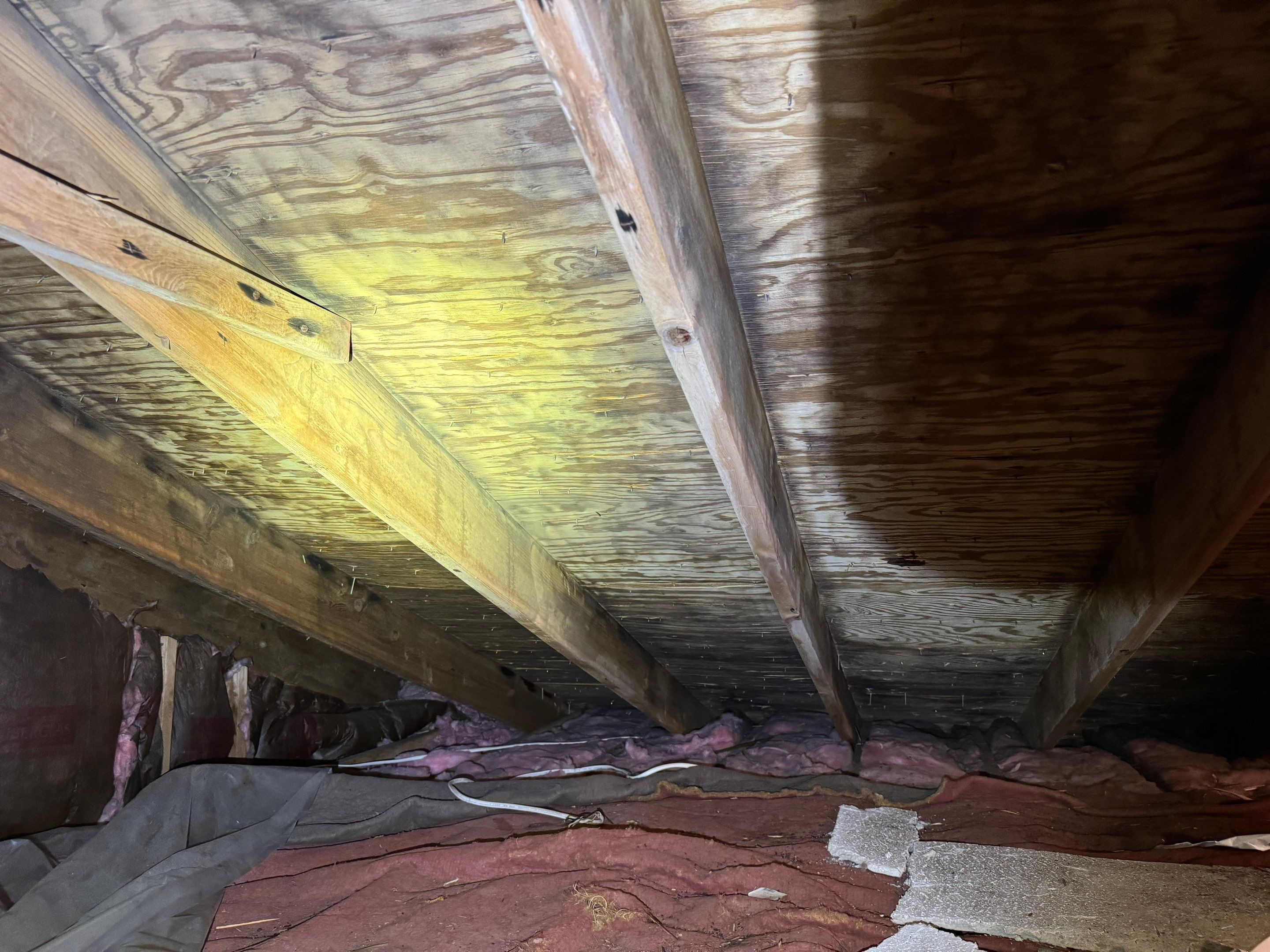 Attic Mold Remediation by Home Guarantee, LLC