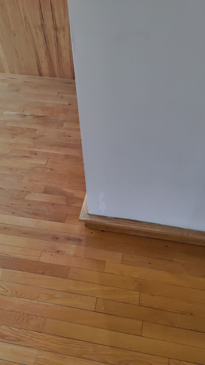 Mold Damage by Accountable Home Services