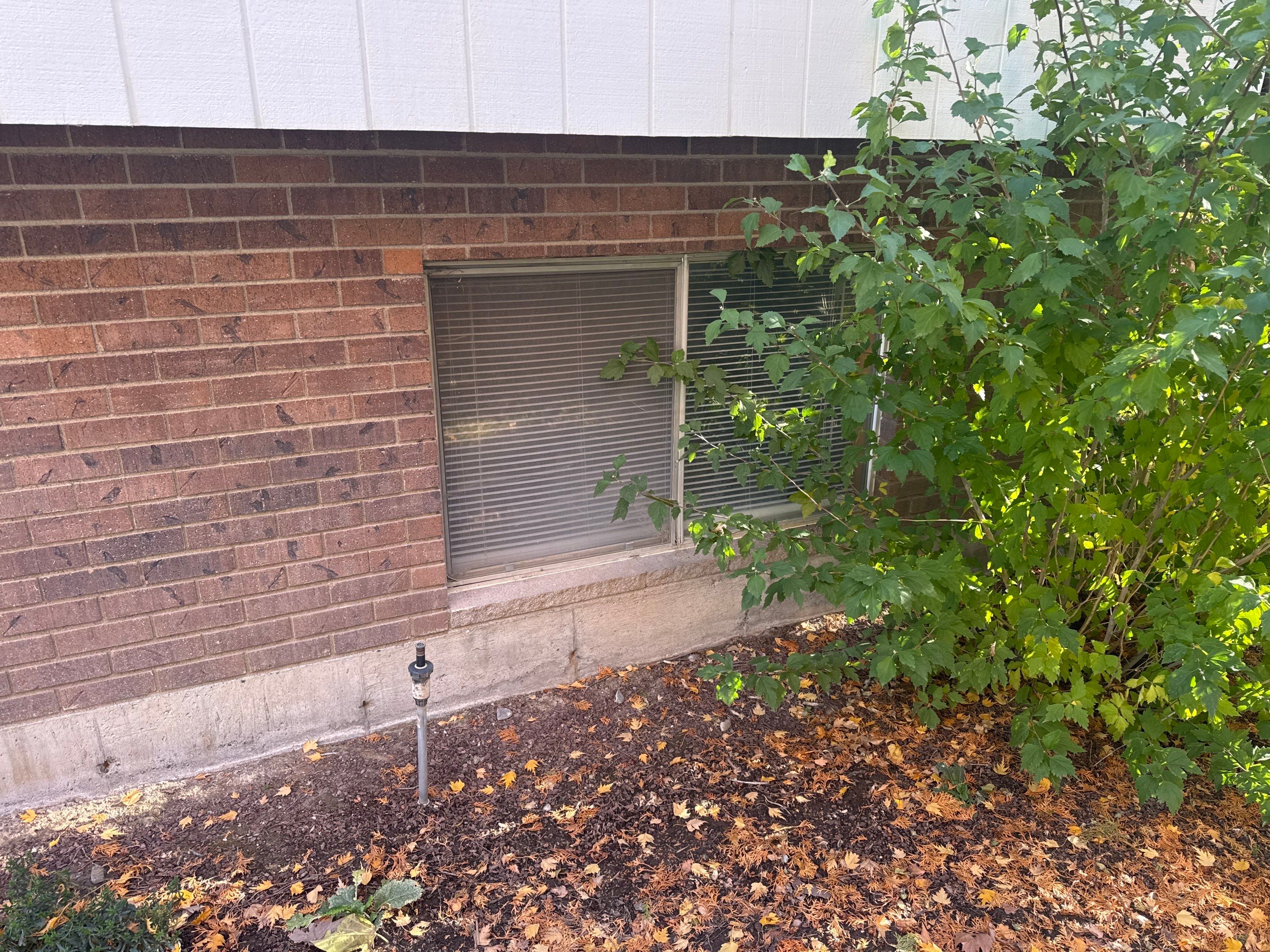 Siding, Windows, Doors, Gutters by BN Covered Exteriors