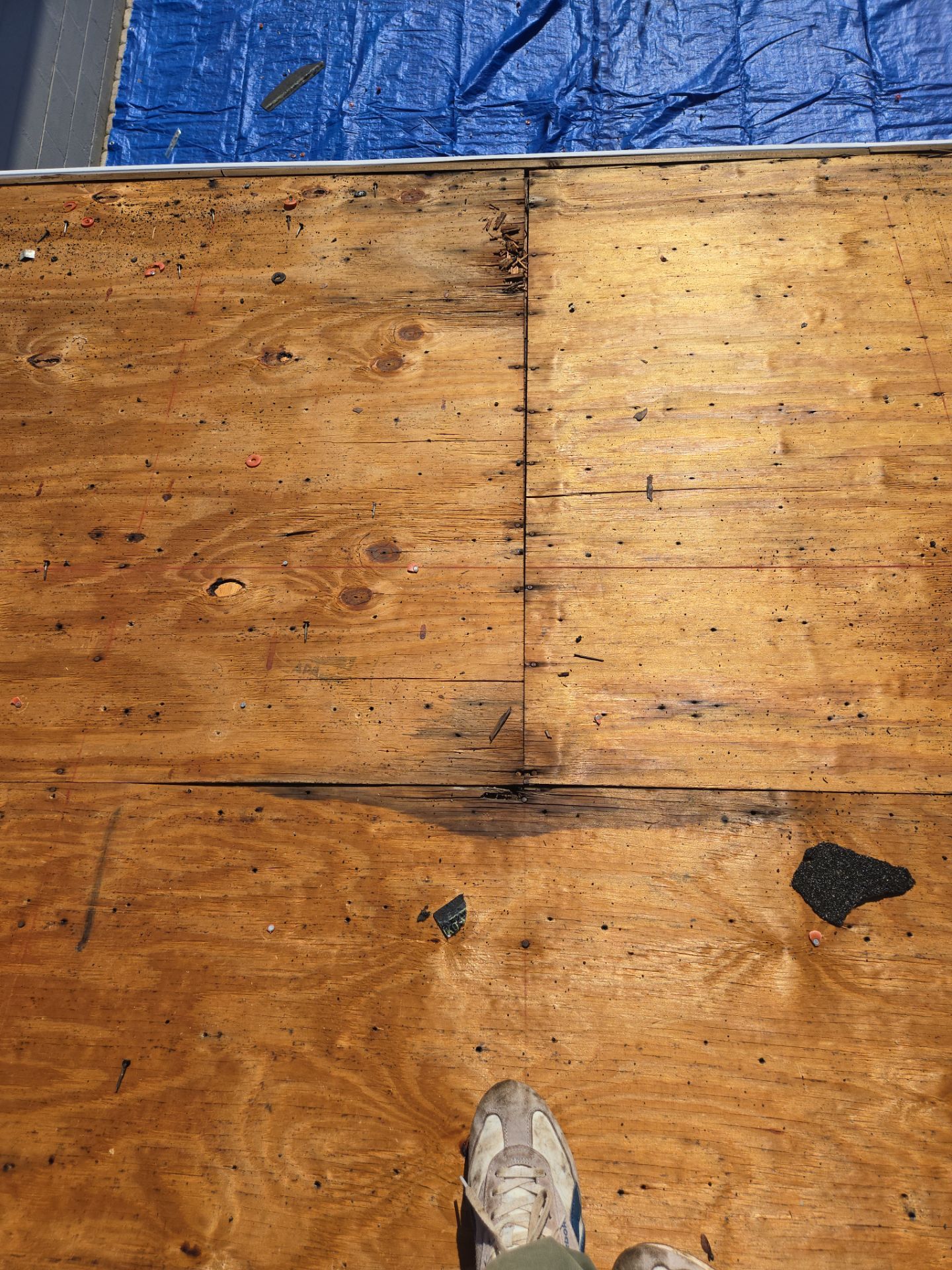 Project in St. Petersburg 33709 by Mitchell Roofing Company LLC 