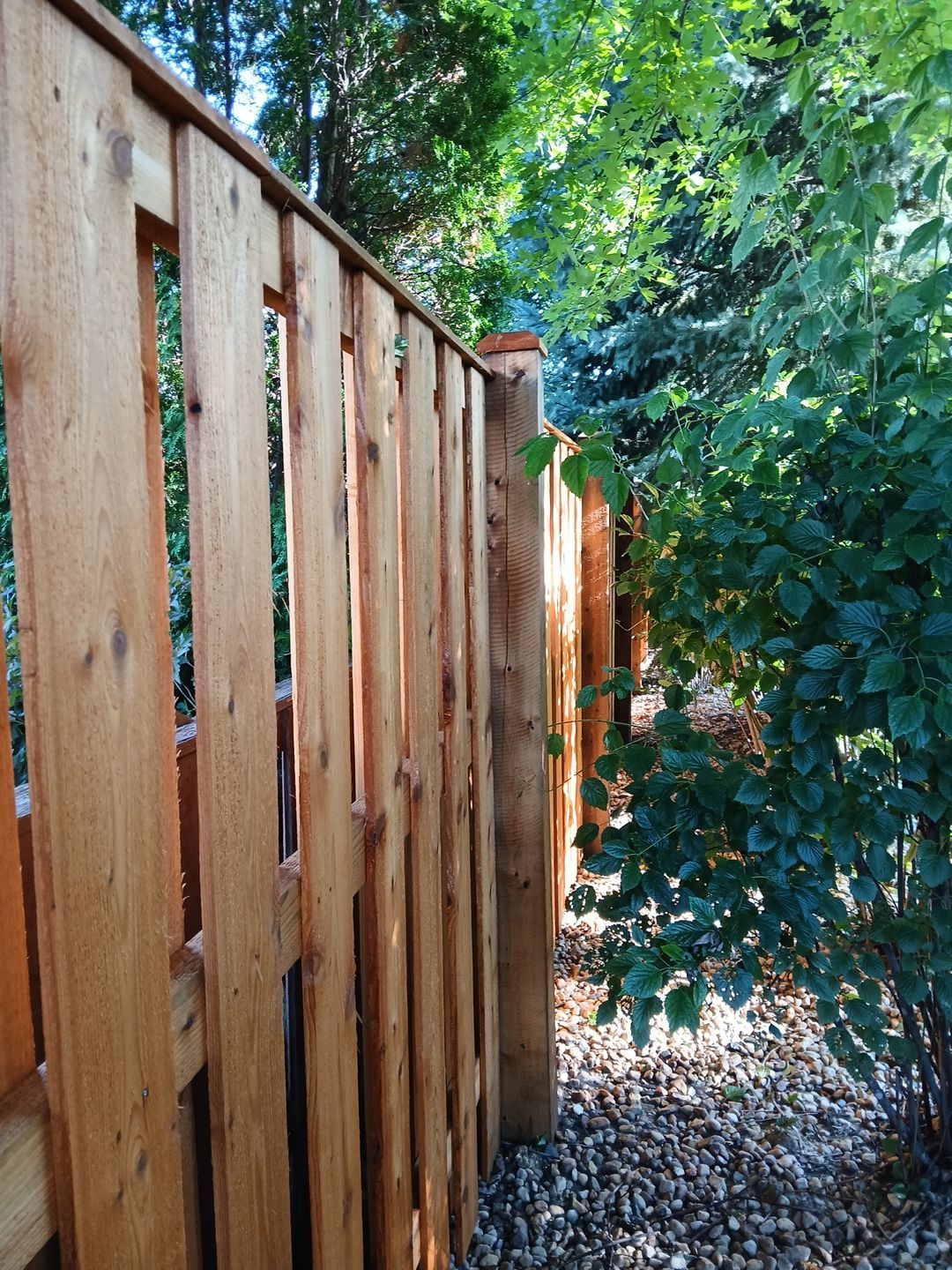 Dvorak Fence Staining by Two Brothers Residential Maintenance