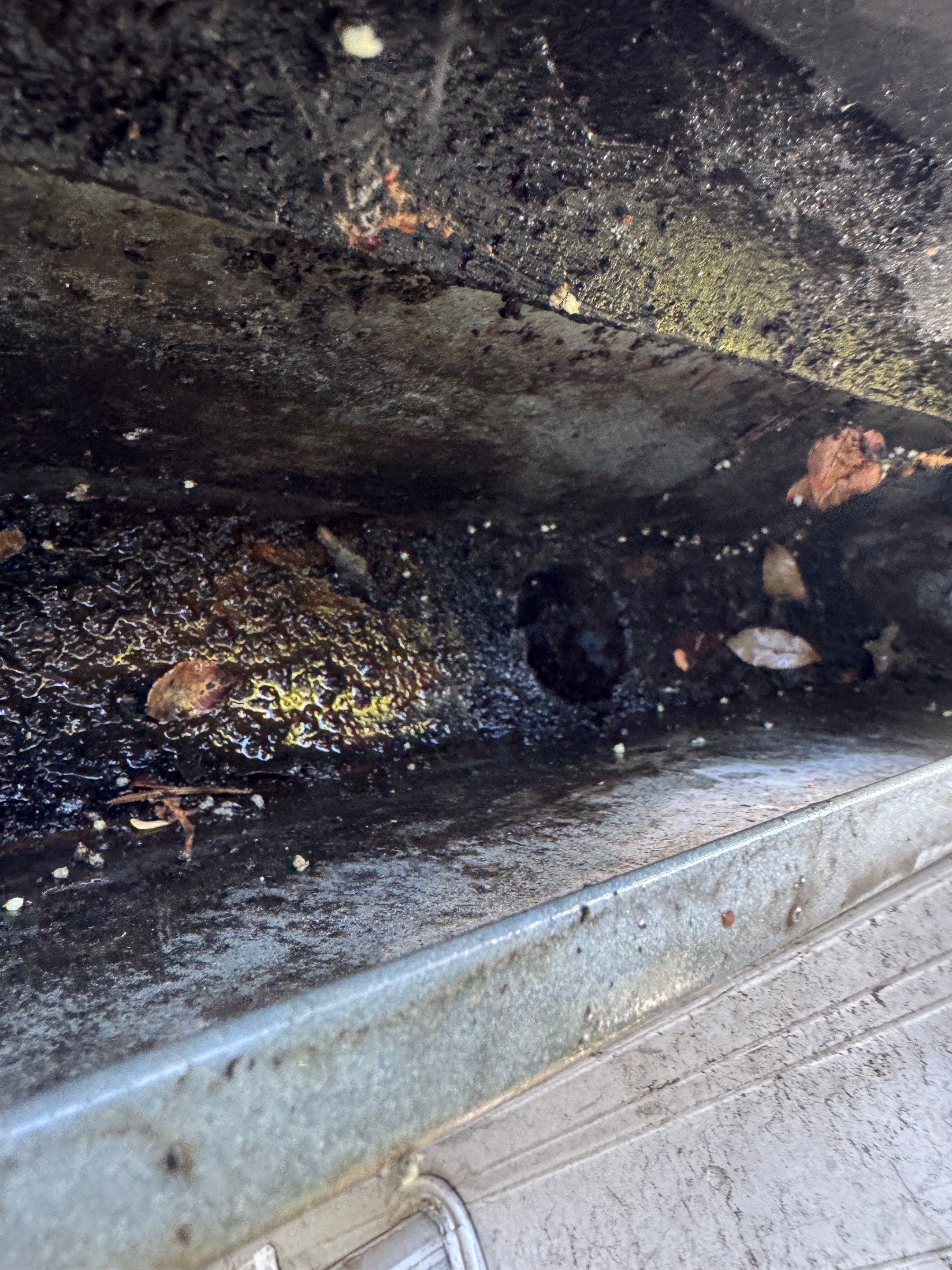 Commercial gutter cleaning San Jose after photo with clean gutters