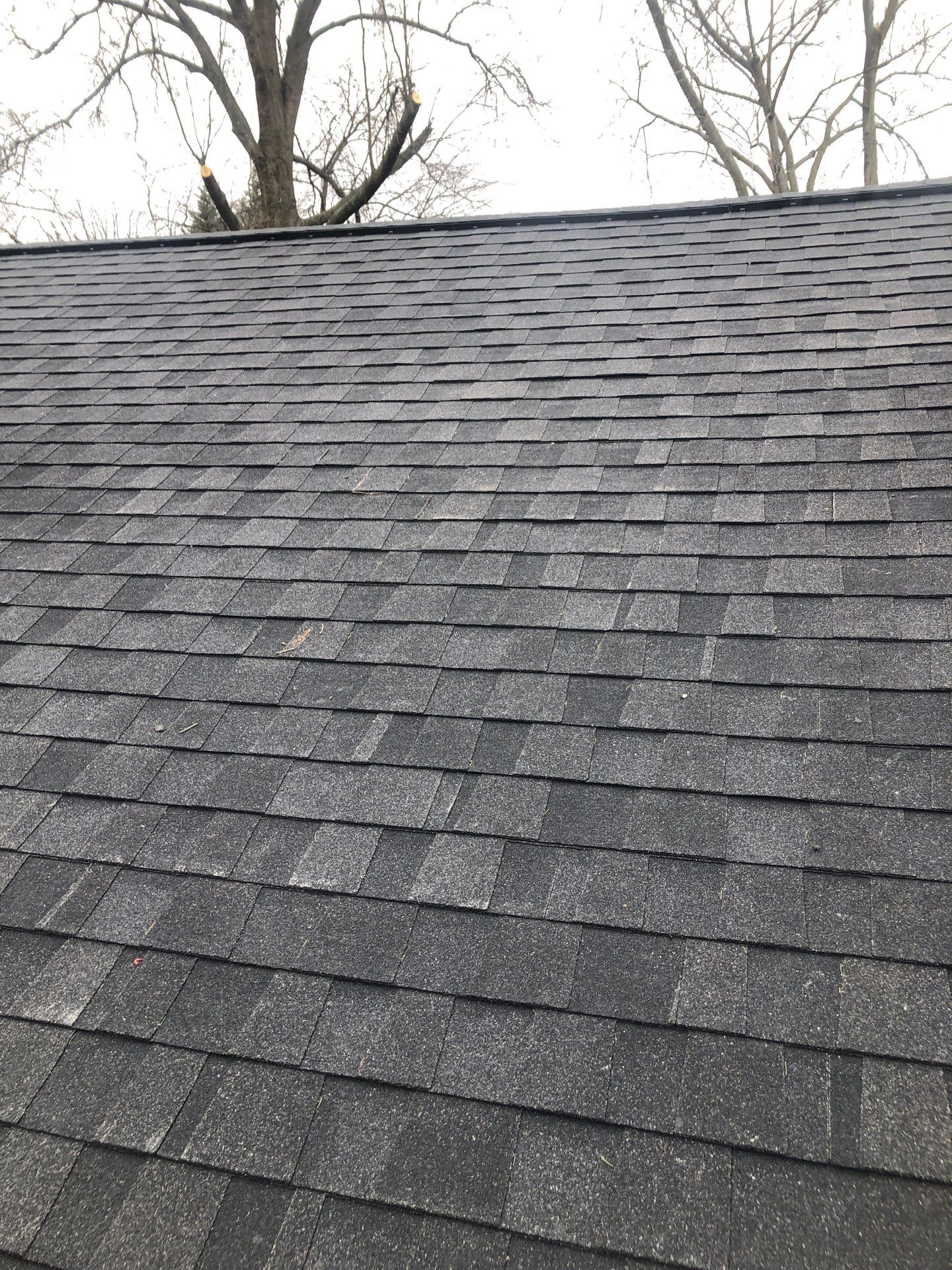 Alexandria CertainTeed Landmark Pro Roof in Max Def Charcoal Black by RM Banning, Inc.