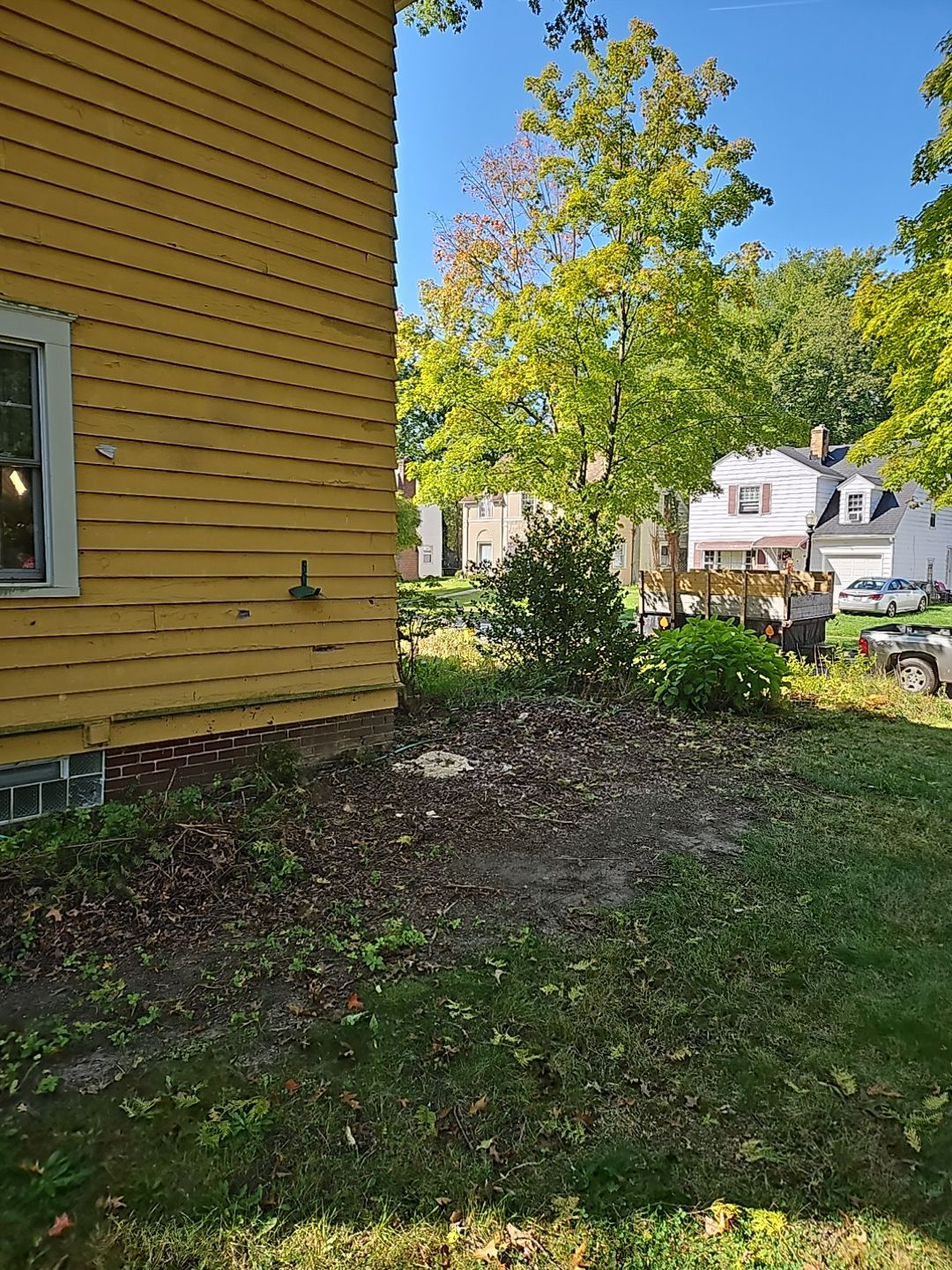 Tree Removal using Tree Removal by Mike Jones & Sons Tree Service LLC 