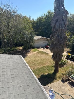 Project in Austin
