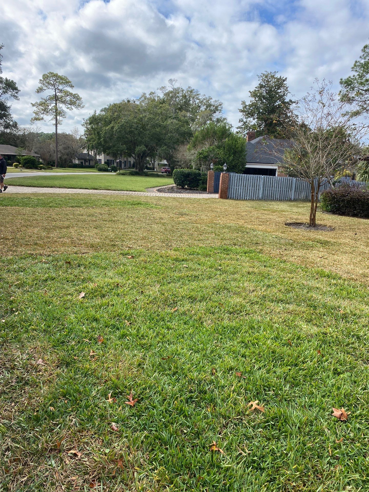Deerwood Resident | Sod Replacement by ProGreen Services
