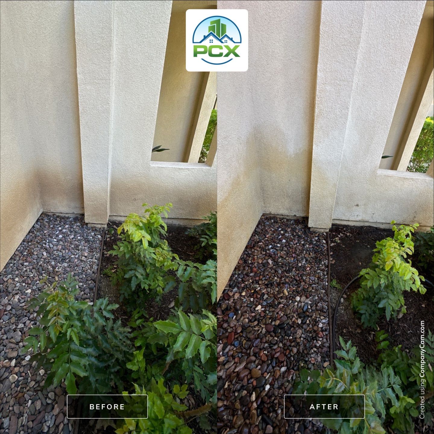 Costa Mesa House Washing - soft wash and chemical removal by Property Cleaning Experts