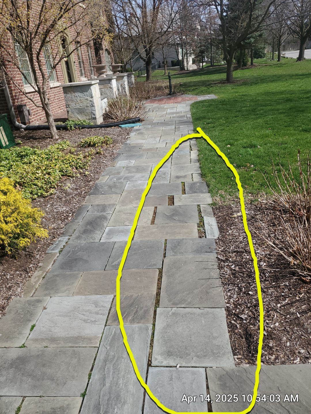 bluestone using Algaecide, soft wash soap by Northern Power Washing LLC.