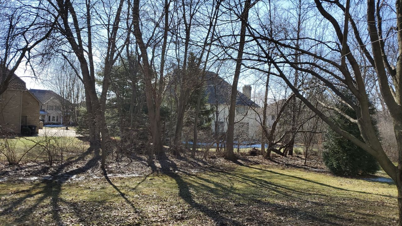 Tree Removal using Tree Removal by Mike Jones & Sons Tree Service LLC 