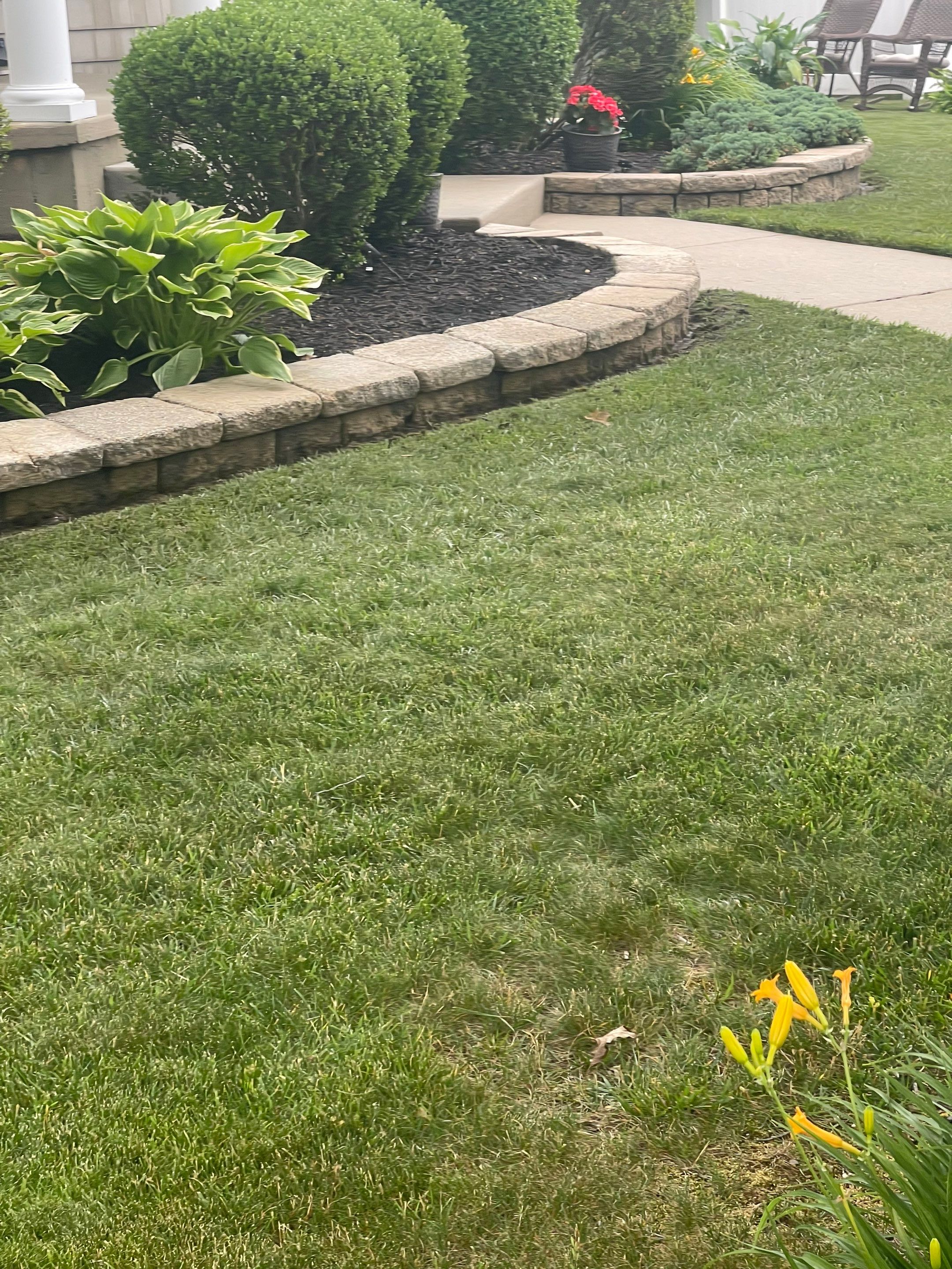 Residential Exterior Cleaning by SJ Exterior