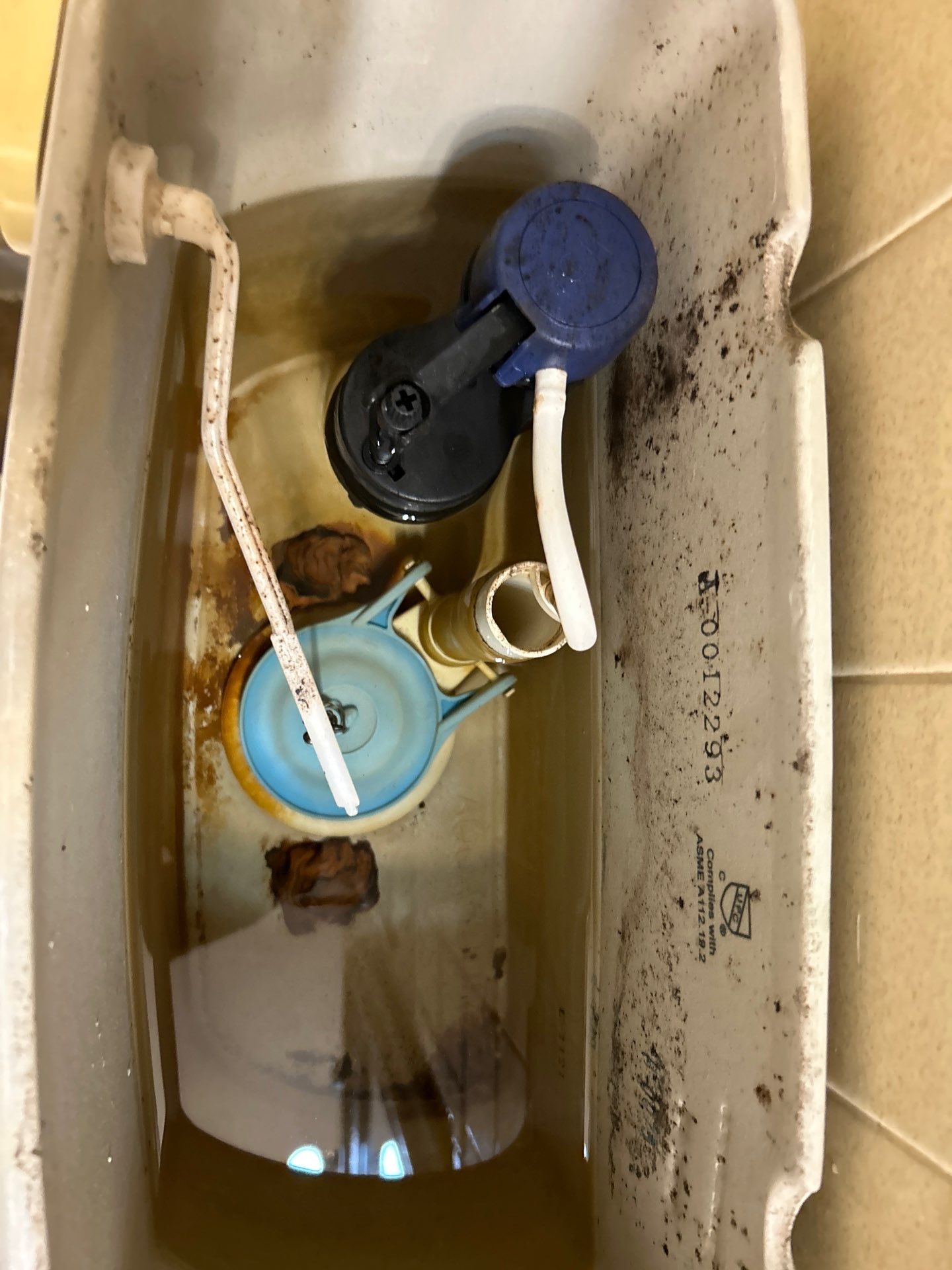 Toilet rebuilds in Ellenwood by Atlanta Plumbing & Drain