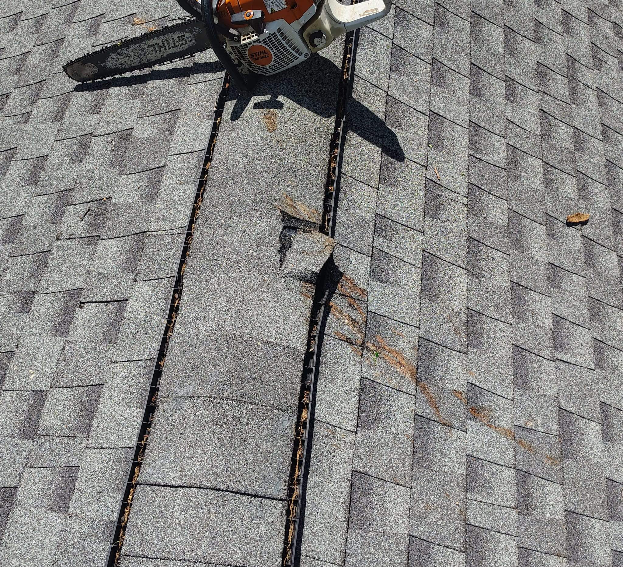 Tree Damage Restoration and Asphalt Shingle Roof Replacement in Memphis by Revival Roofing Services