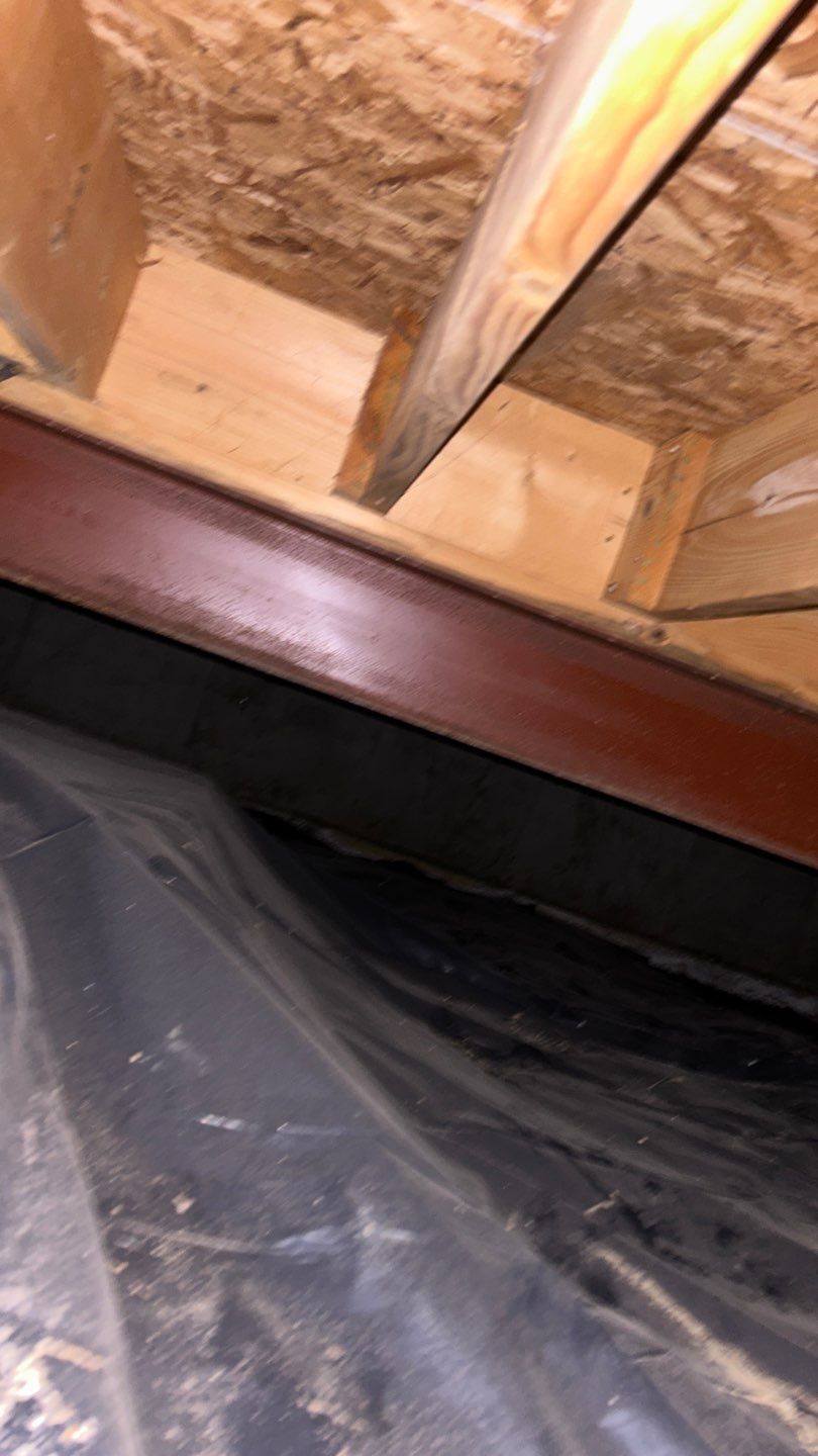 Mold Damage by Accountable Home Services