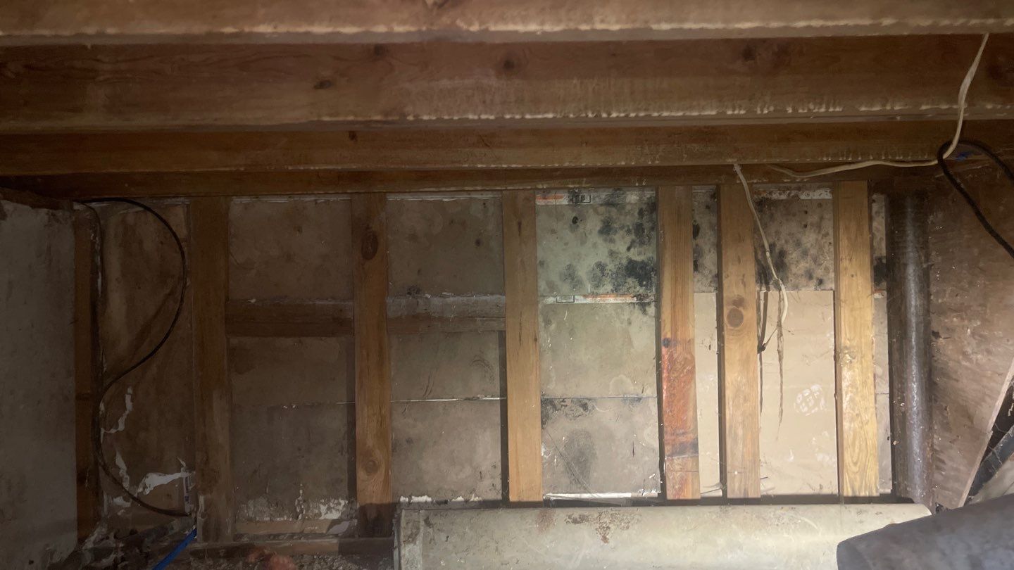 Crawl Space Project and Encapsulation by Toledo Basement Repair 