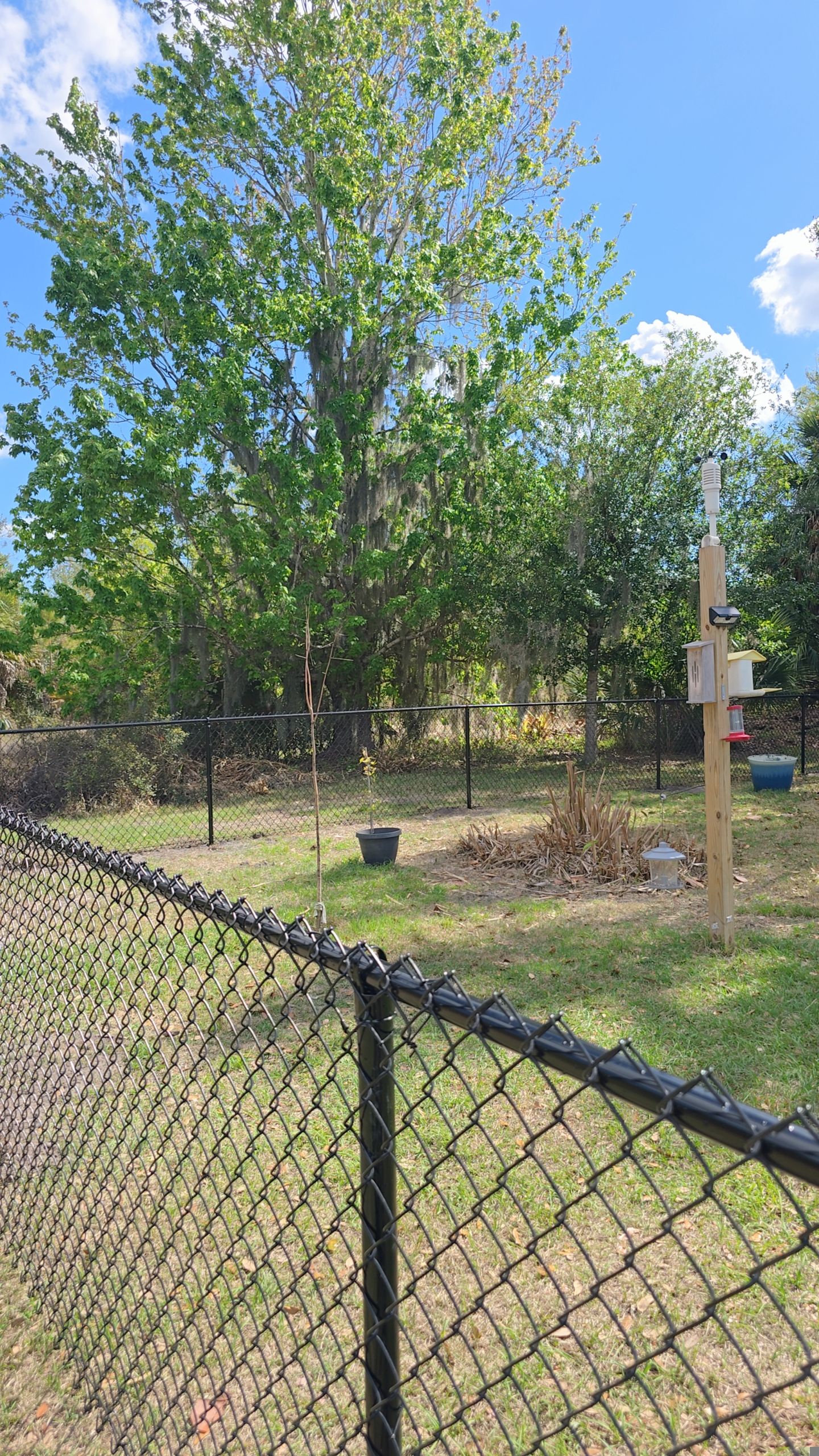 Chain Link Install in North Port by True Fence LLC