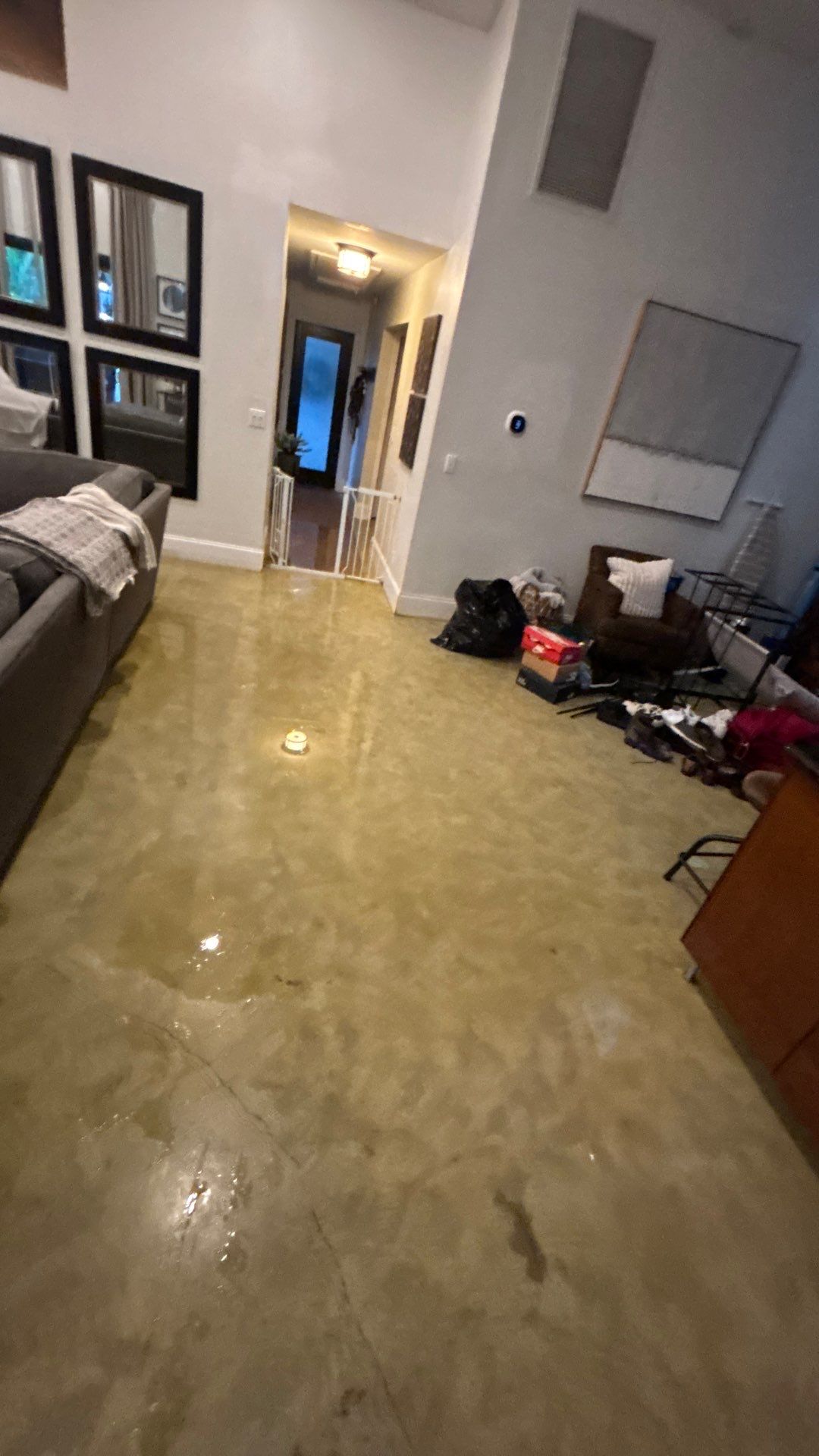 Wellington Water Damage Restoration with Thermal Imaging and Extraction by SuperClean 