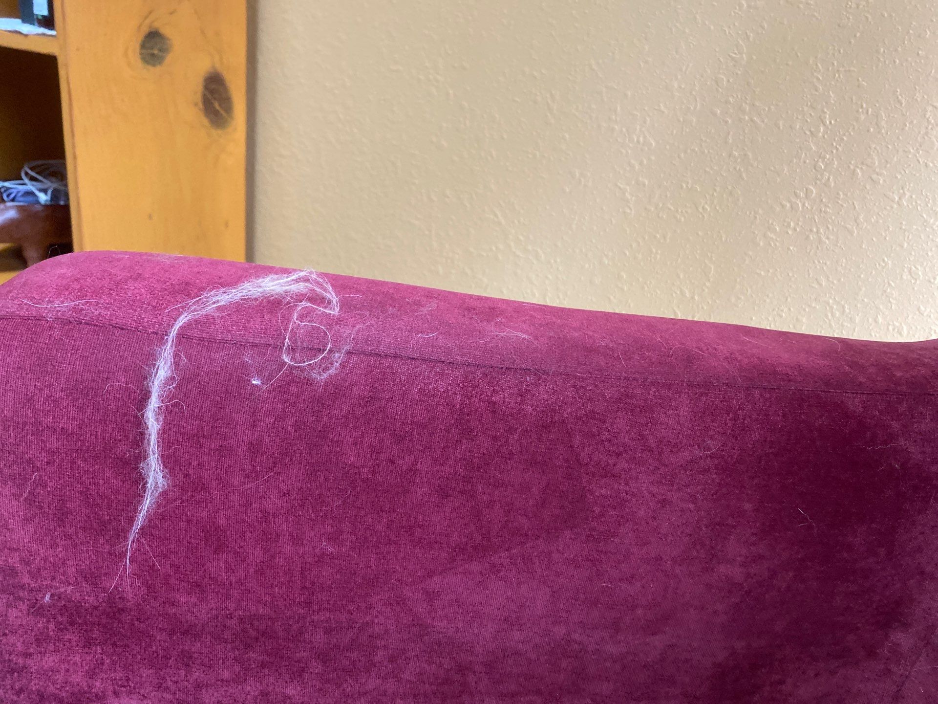 Maid Service in Lake Oswego by Cloud 9 Professional Cleaning Services