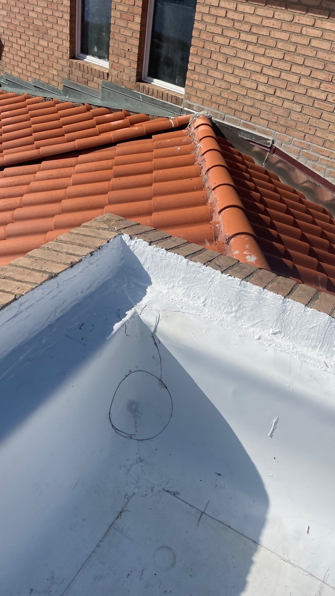 Problems in Paradise  by Bayfront Roofing and Construction