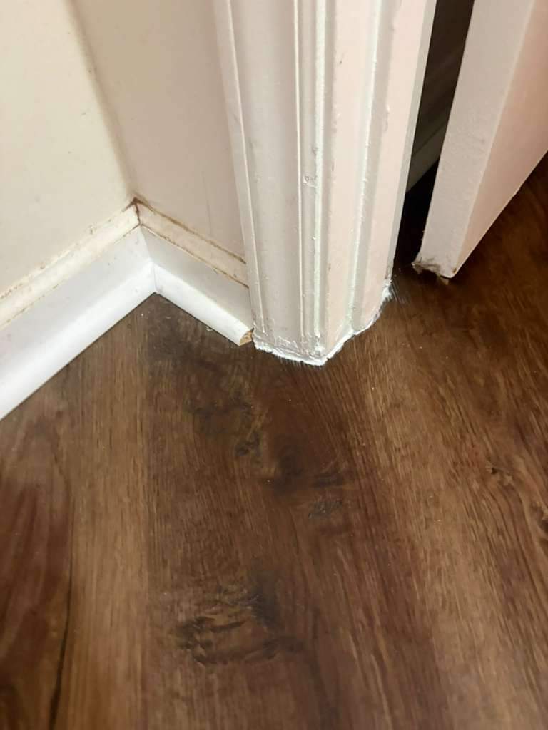 Project 49 by FMP Flooring