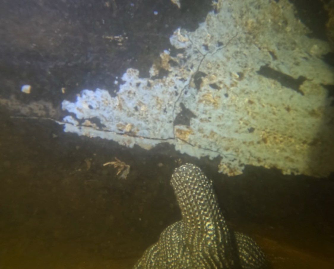 Project in Punta Gorda by Florida Hull Cleaning 