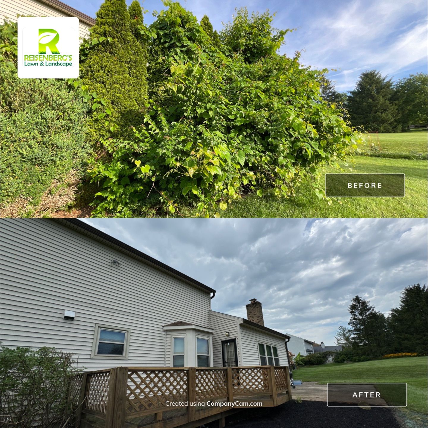 Complete Tear Out of Overgrown Landscape by Reisenberg’s Lawn & Landscape, LLC