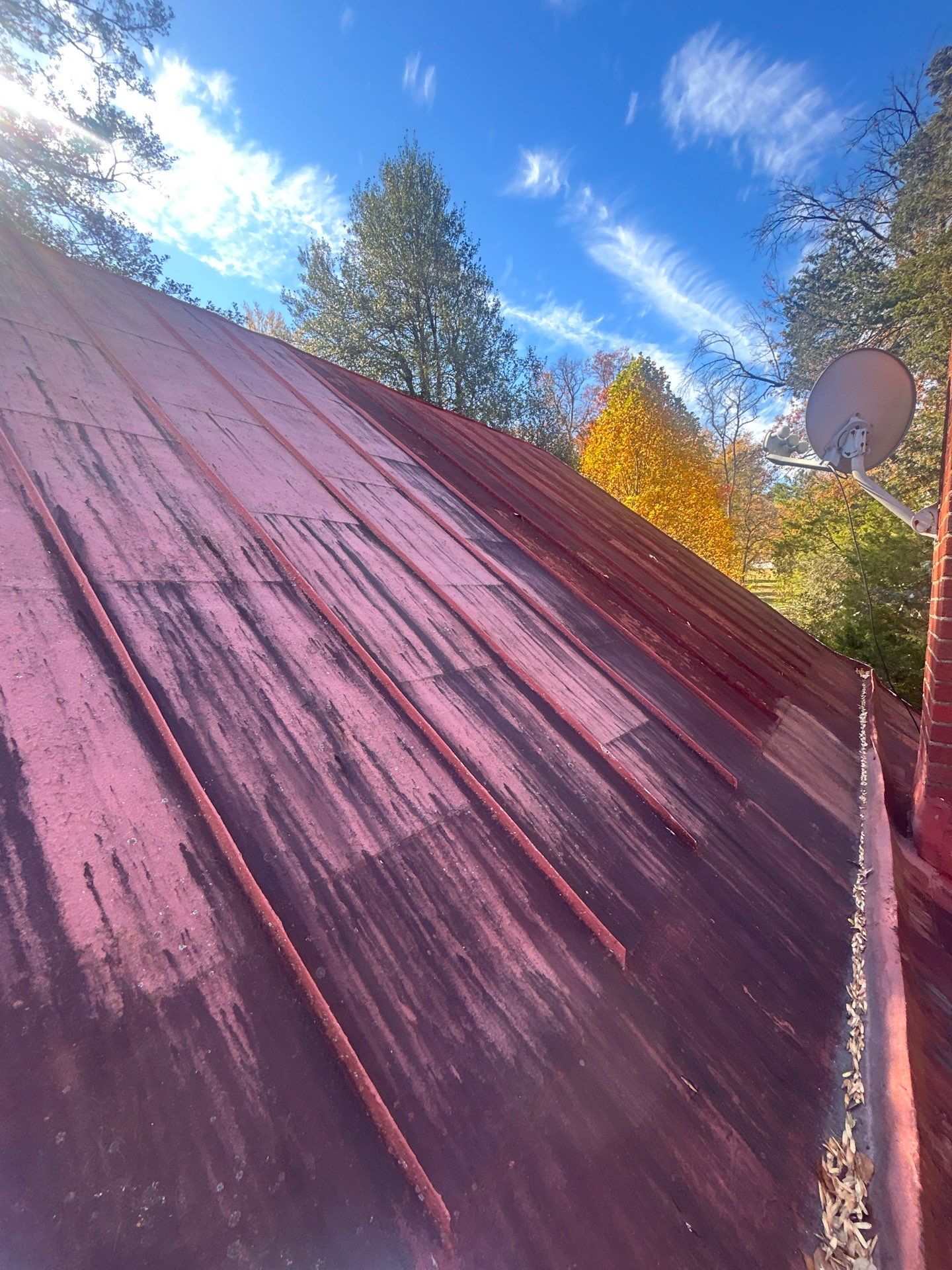 Alexandra: Residential Metal Roofing  by RM Banning, Inc.