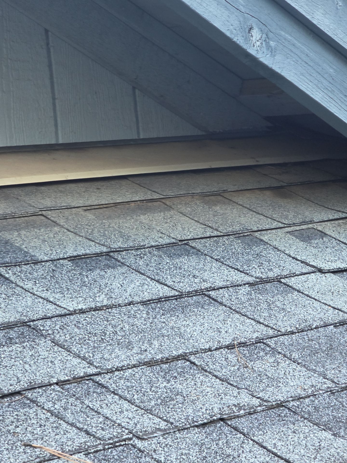 Roof Rejuvenation using Roof Maxx Treatment by Roof Maxx of Folsom