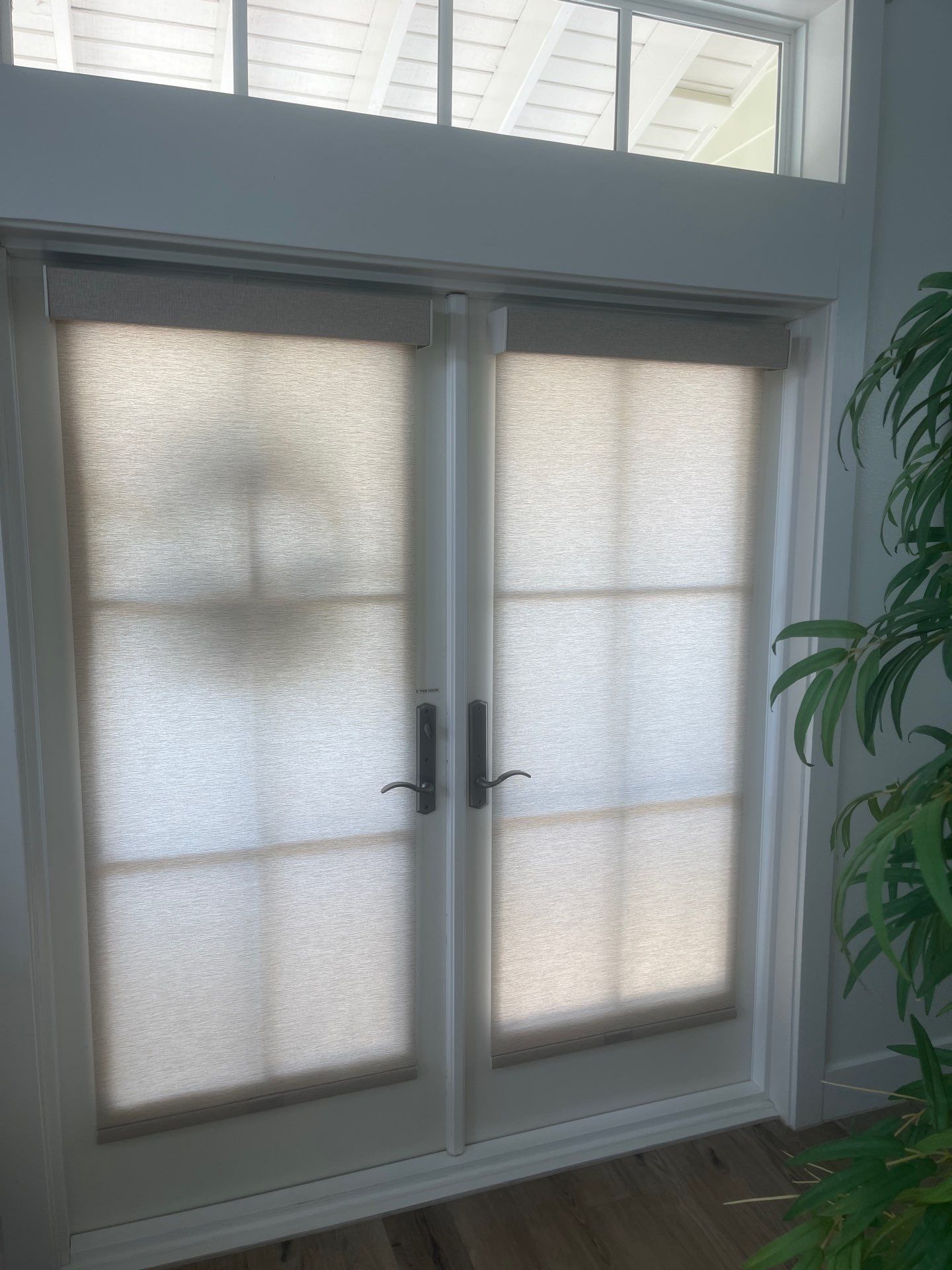 Signature Series Cordless Roller Shades by Budget Blinds of Greater Corpus Christi