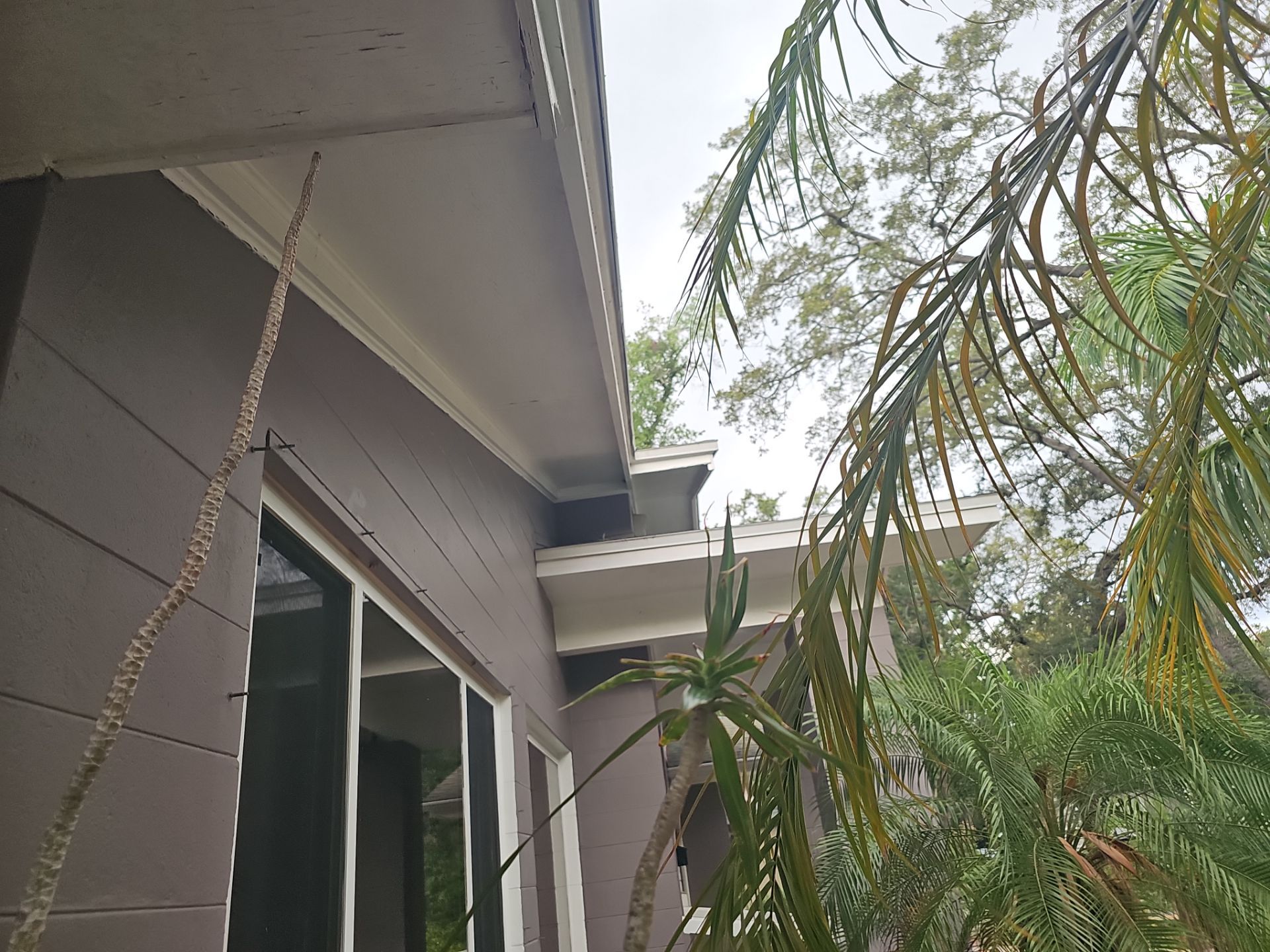 Project in St. Petersburg 33703 by Mitchell Roofing Company LLC 