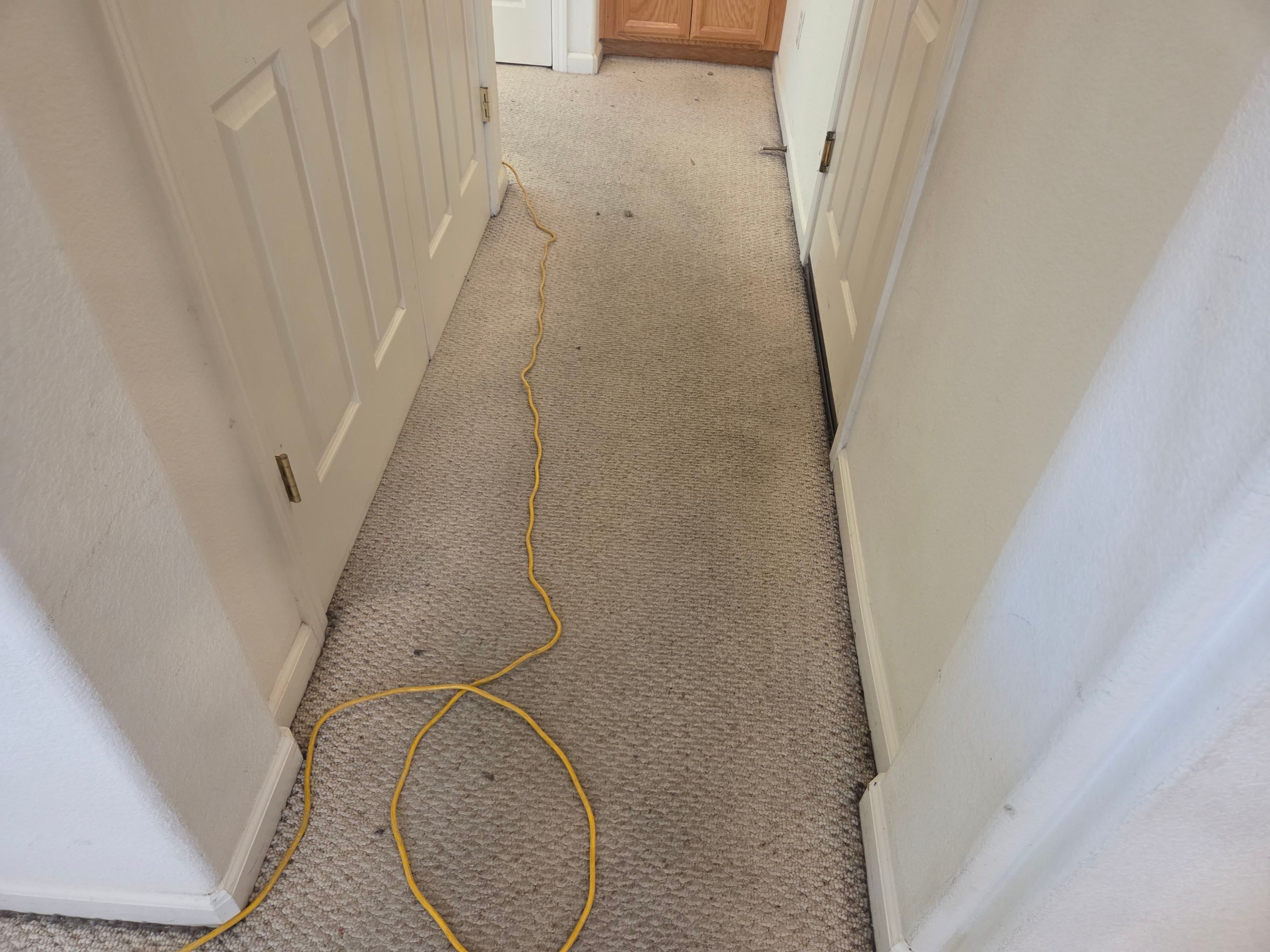 Heavy Carpet Cleaning for a Listing by Ardent Carpet Restore LLC