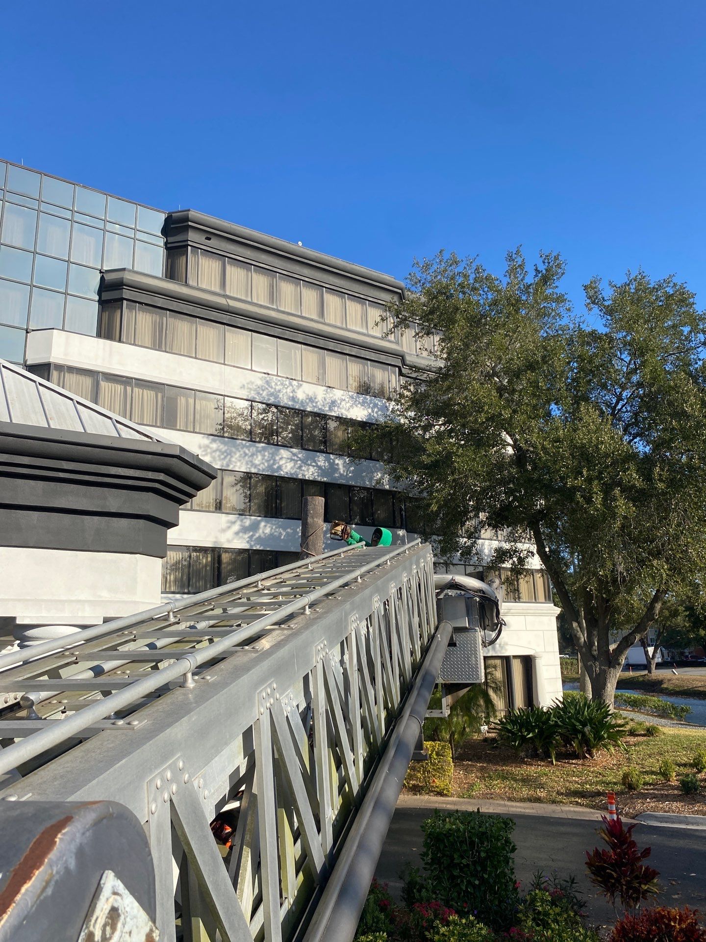 Marriott Hotel | Tree Trimming & Removal by ProGreen Services