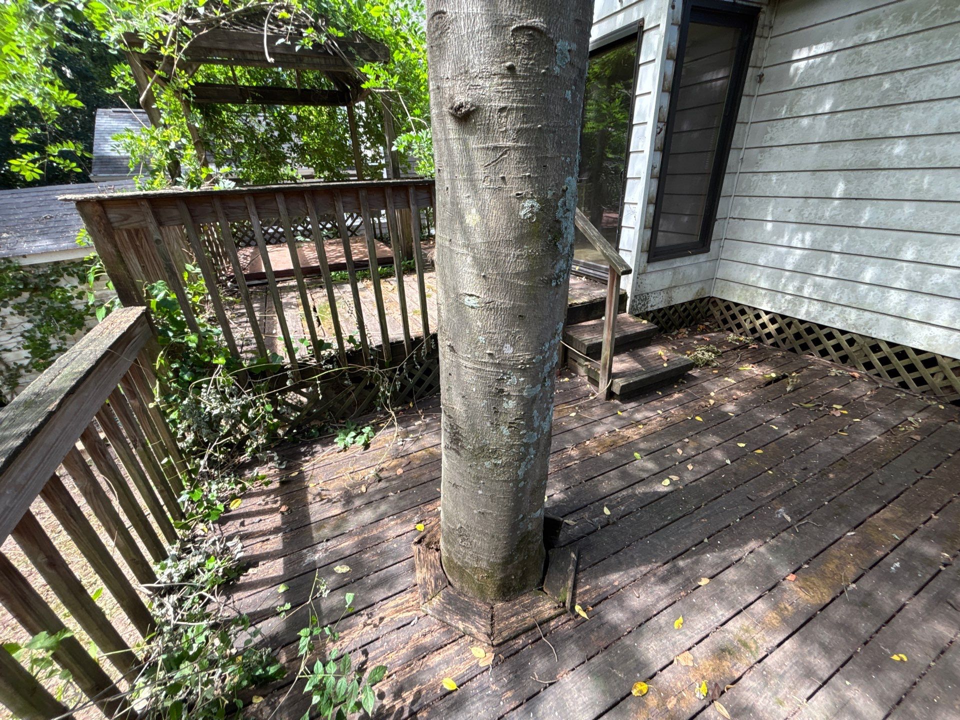 Pressure Treated Pine Deck Build in Atlanta, GA by Nelson Exteriors