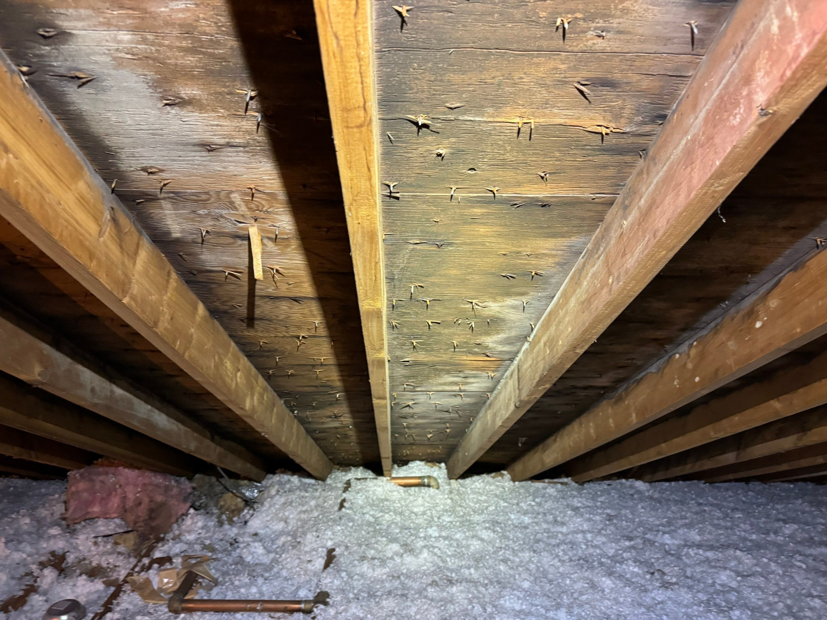 Attic Mold Remediation by Home Guarantee, LLC