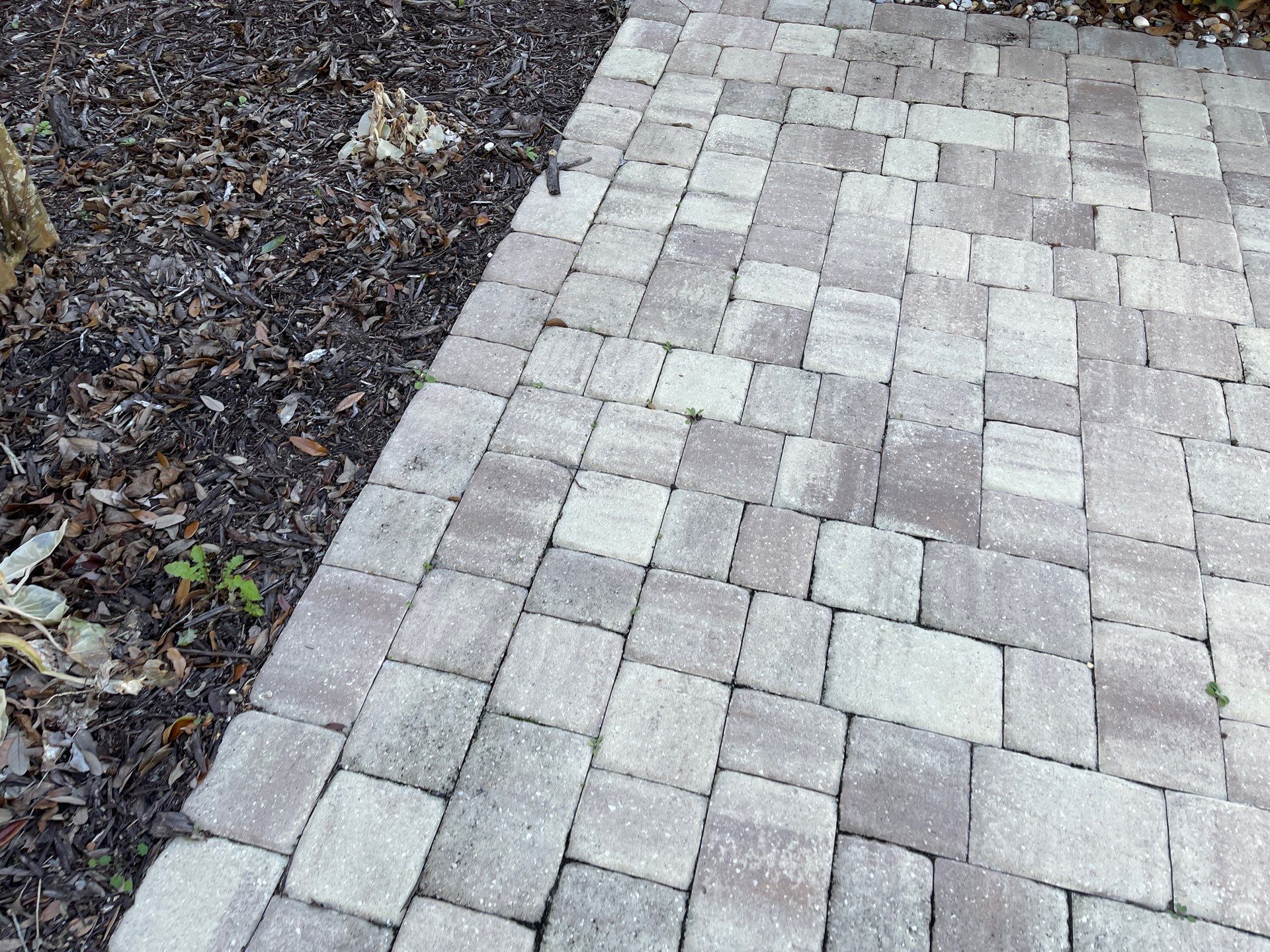 Pool Pavers using TopSeal and PolySand by DuraSeal