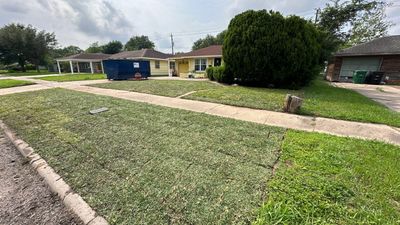 Instant Curb Appeal: Front Yard Transformation for Mr. Stanley! 🏡🌿