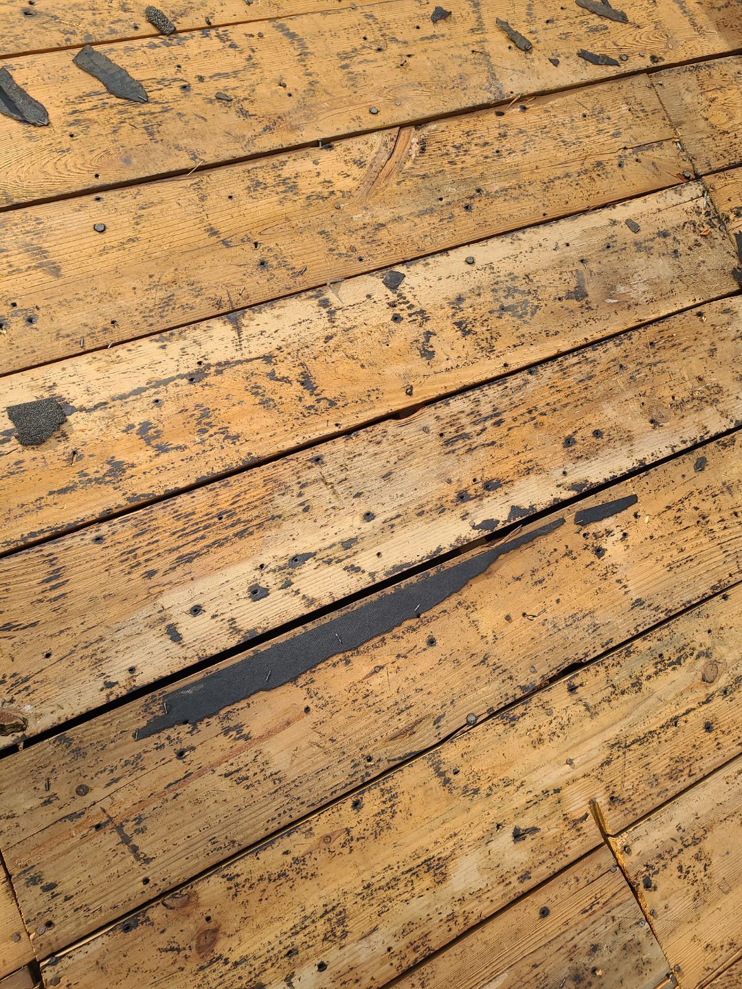 Alexandria CertainTeed Landmark Pro Roof in Max Def Charcoal Black by RM Banning, Inc.