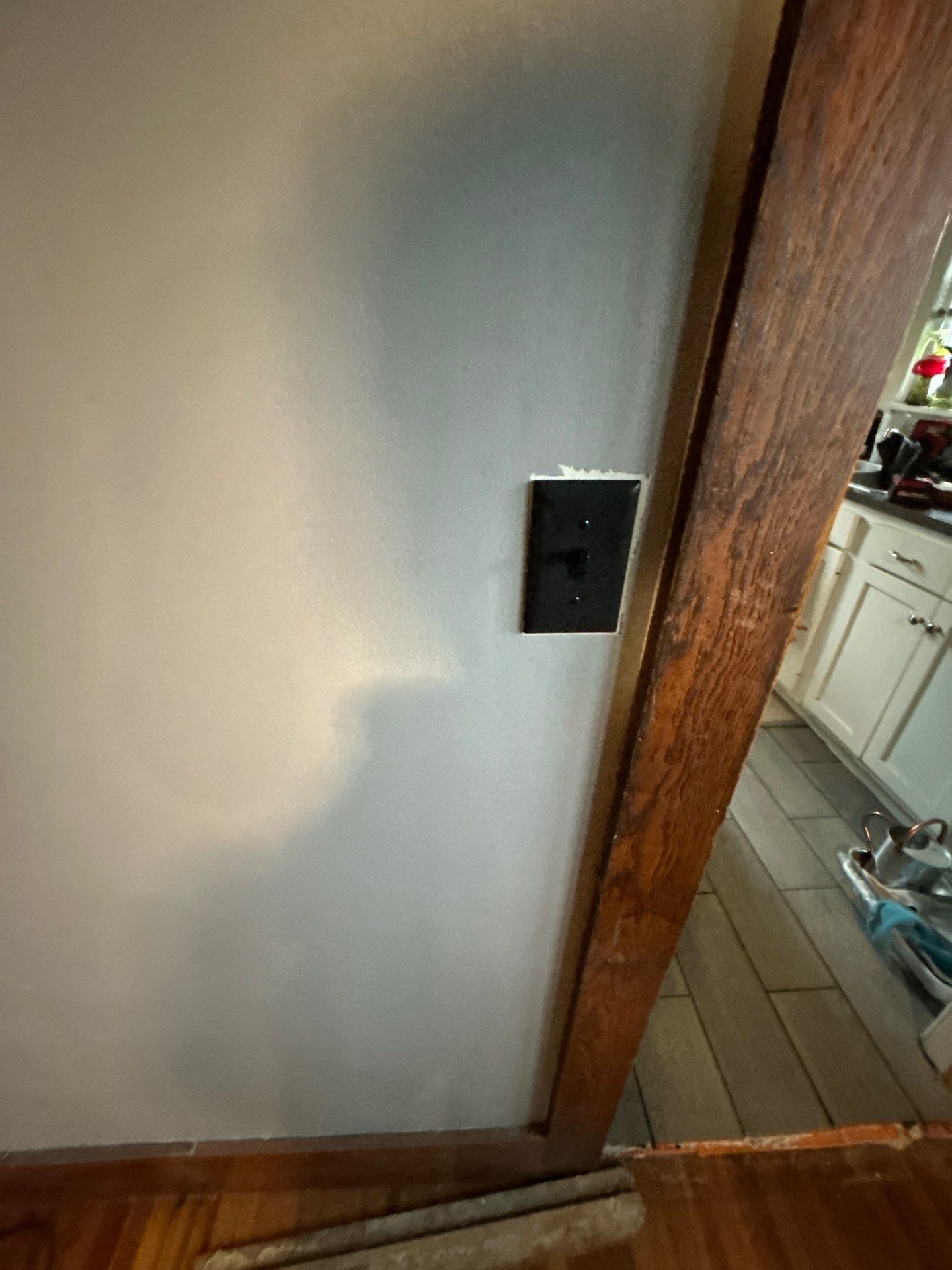 Added Switches and Ceiling Fans by Bear Electric