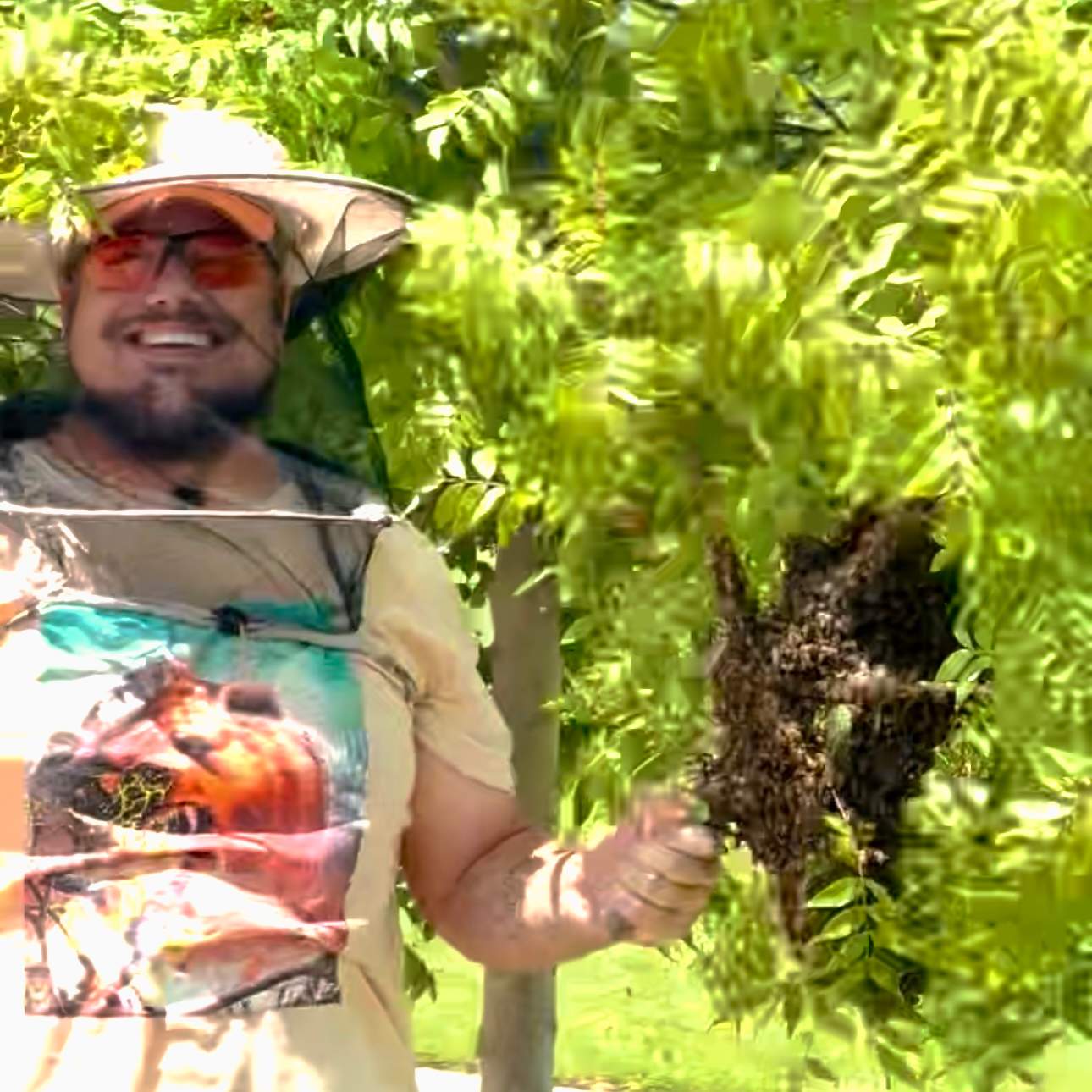 Swarm on a Branch by Rockwall Honey Bee Company