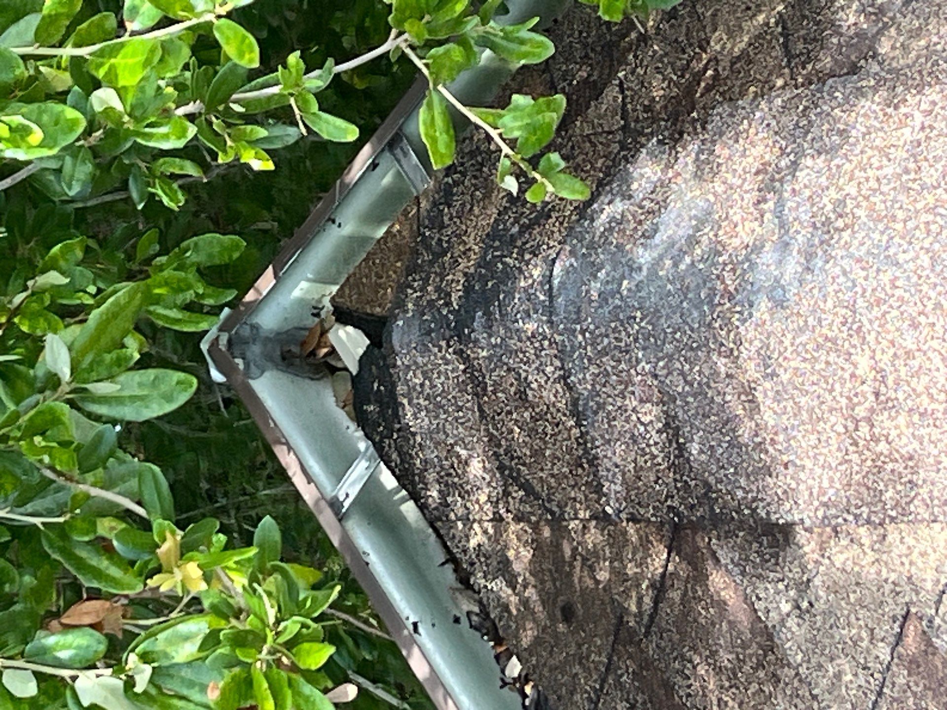 Hail Damage using Owen's Corning Duration (Lifetime) Shingles by Roof Repair Services LLC