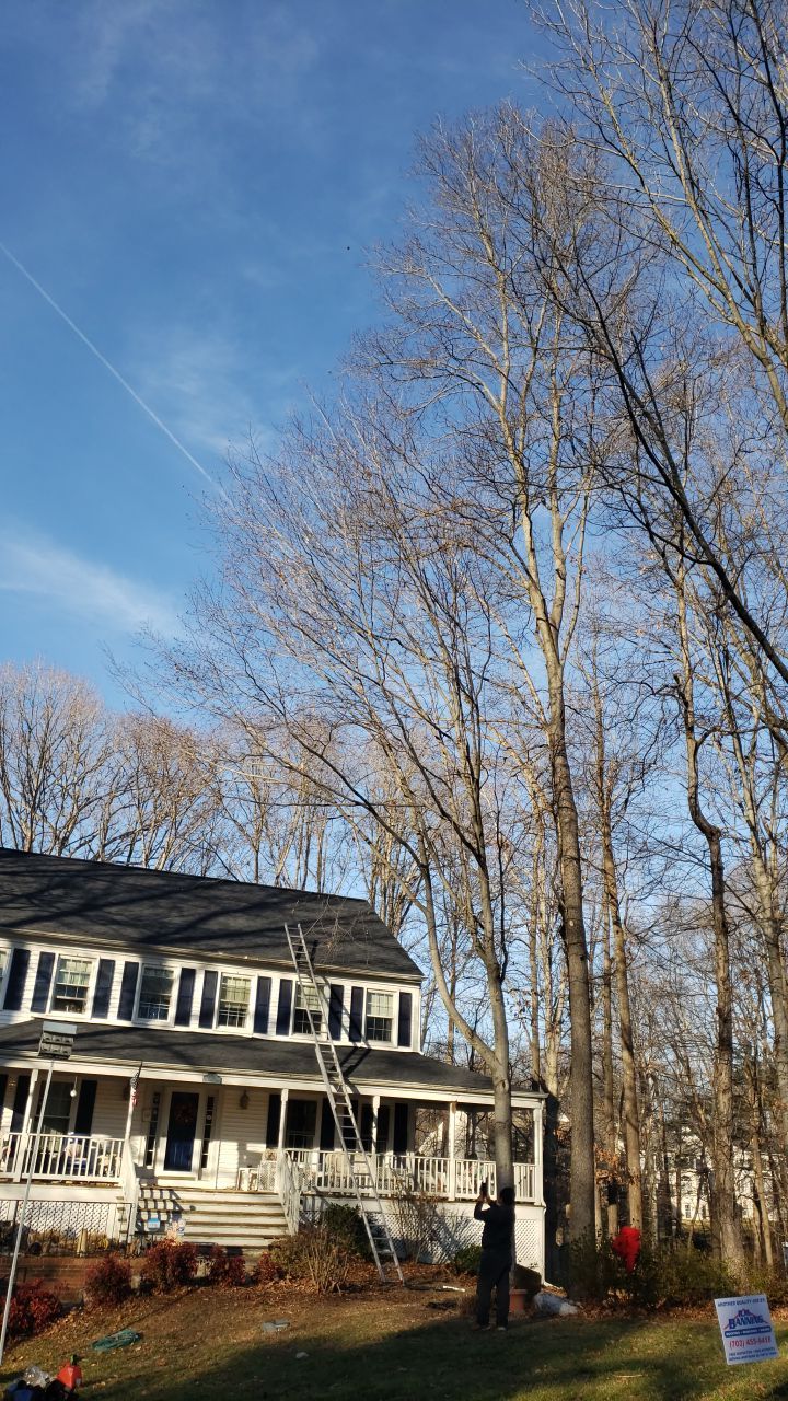 Woodbridge CertainTeed Landmark Pro MD Charcoal Black New Roof Installation by RM Banning, Inc.