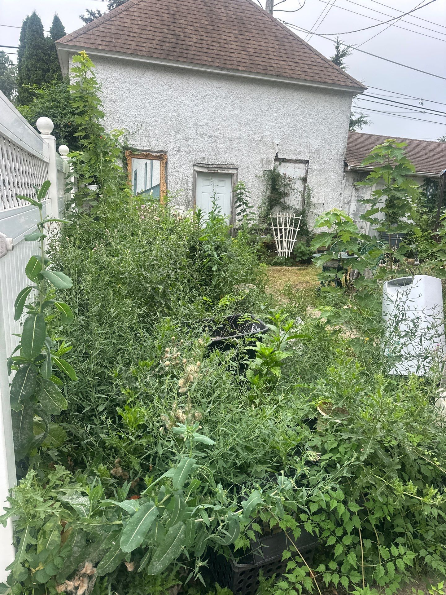 Michal Ann L. - Des Plaines, IL by A&N