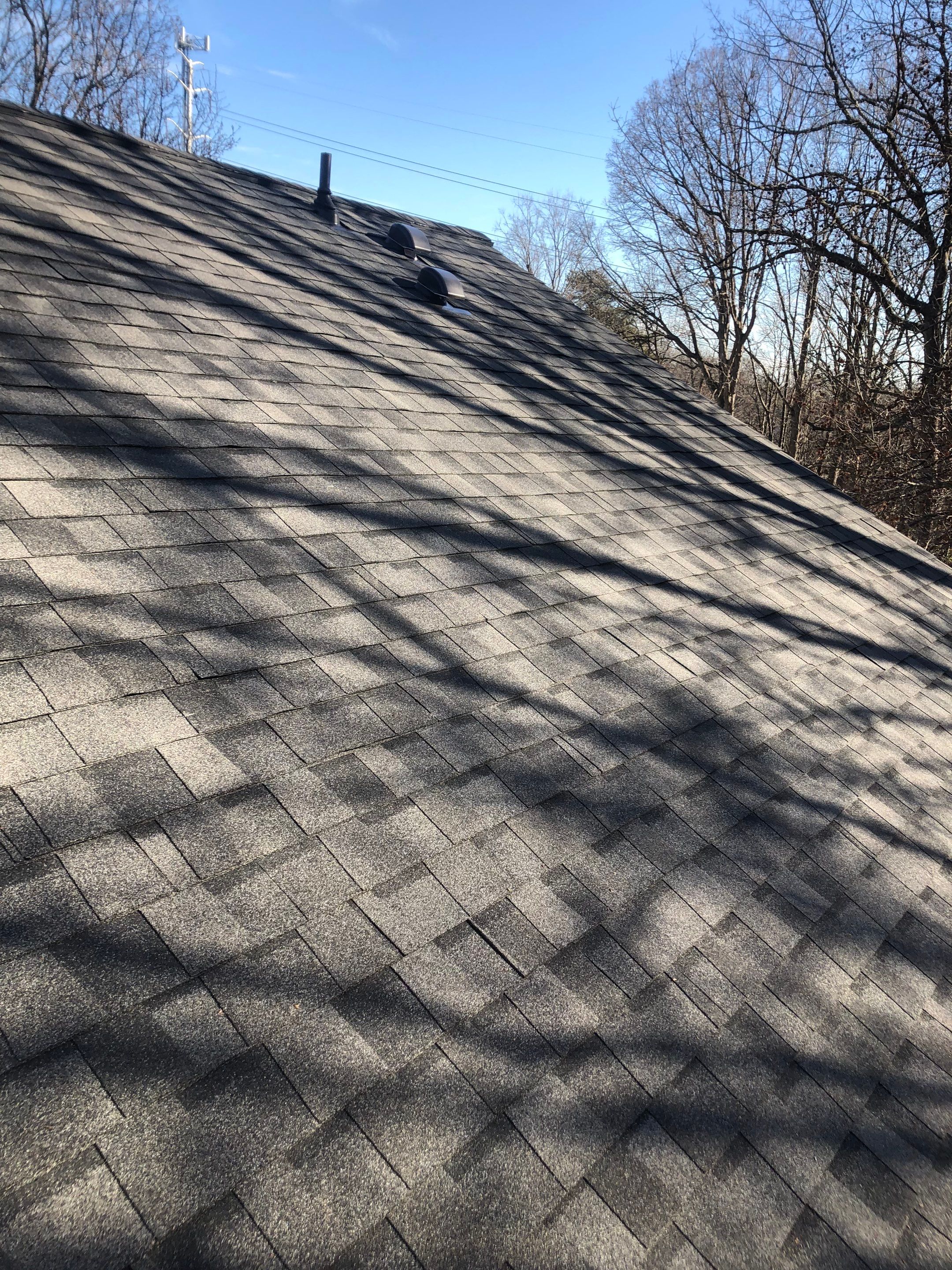 Alexandria CertainTeed Landmark Pro Roof in Max Def Pewterwood  by RM Banning, Inc.