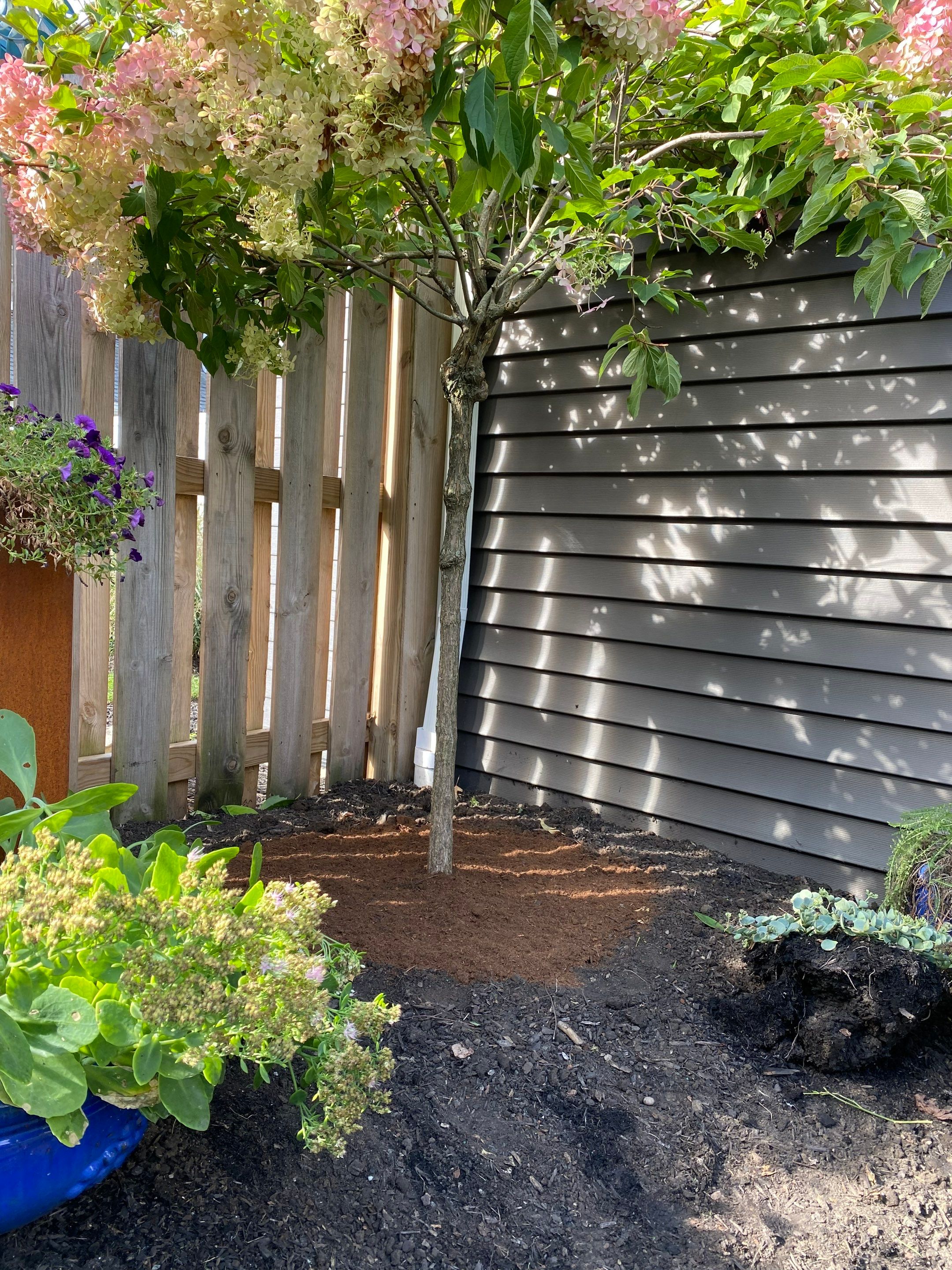 Corten Steel Maintenance by Elm Rose Gardens